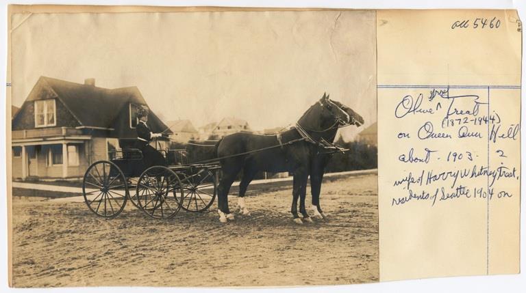 Image of Photograph of Olive Graef Treat in horse-drawn carriage on Queen Anne Hill, circa 1903