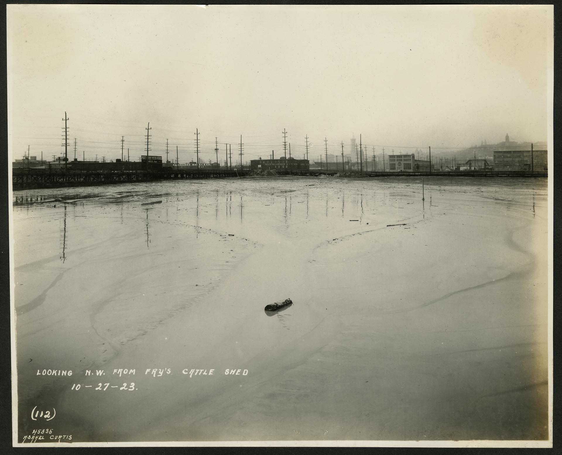 Image of Tidal flats south of downtown Seattle, October 27, 1923