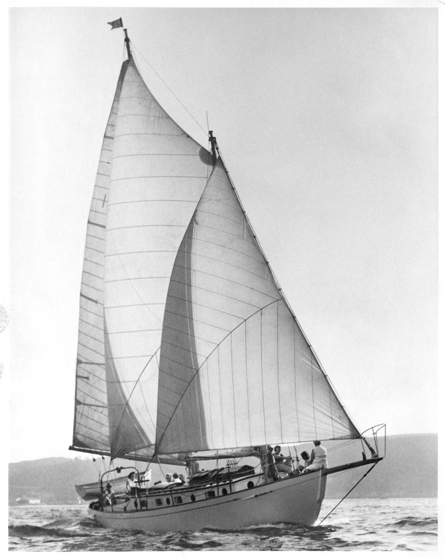 Image of Schooner 
