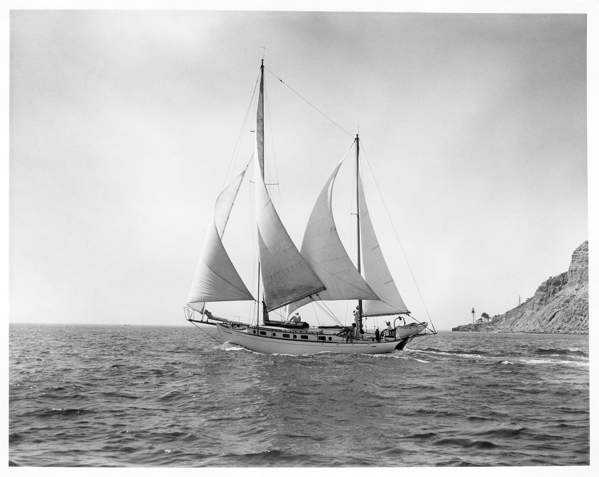 Image of Schooner 