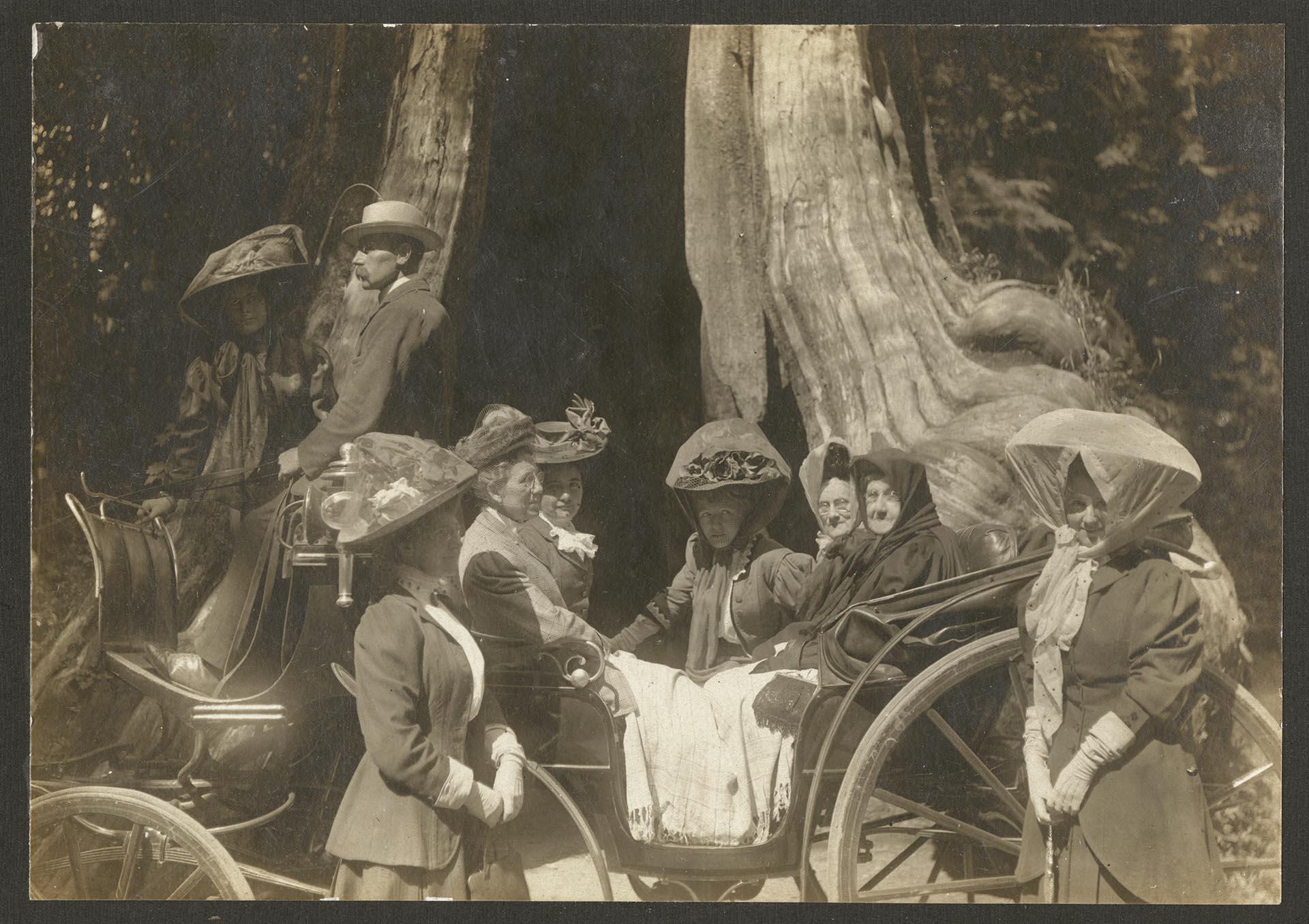 Image of Eight Seattle women in carriage at Stanley Park, Vancouver B. C., August 1908