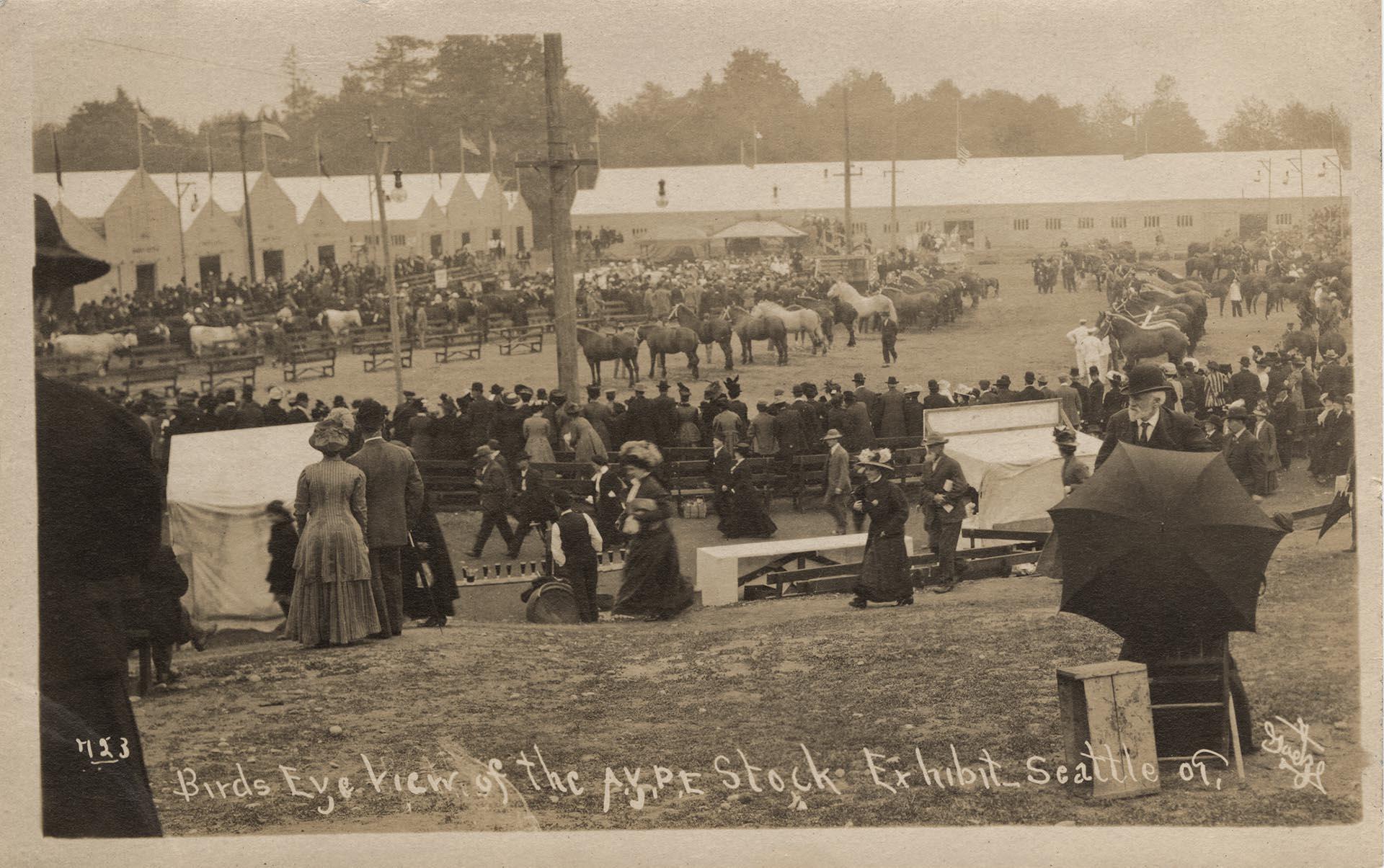 Image of Stock Exhibit at the Alaska-Yukon-Pacific Exposition, Seattle, 1909