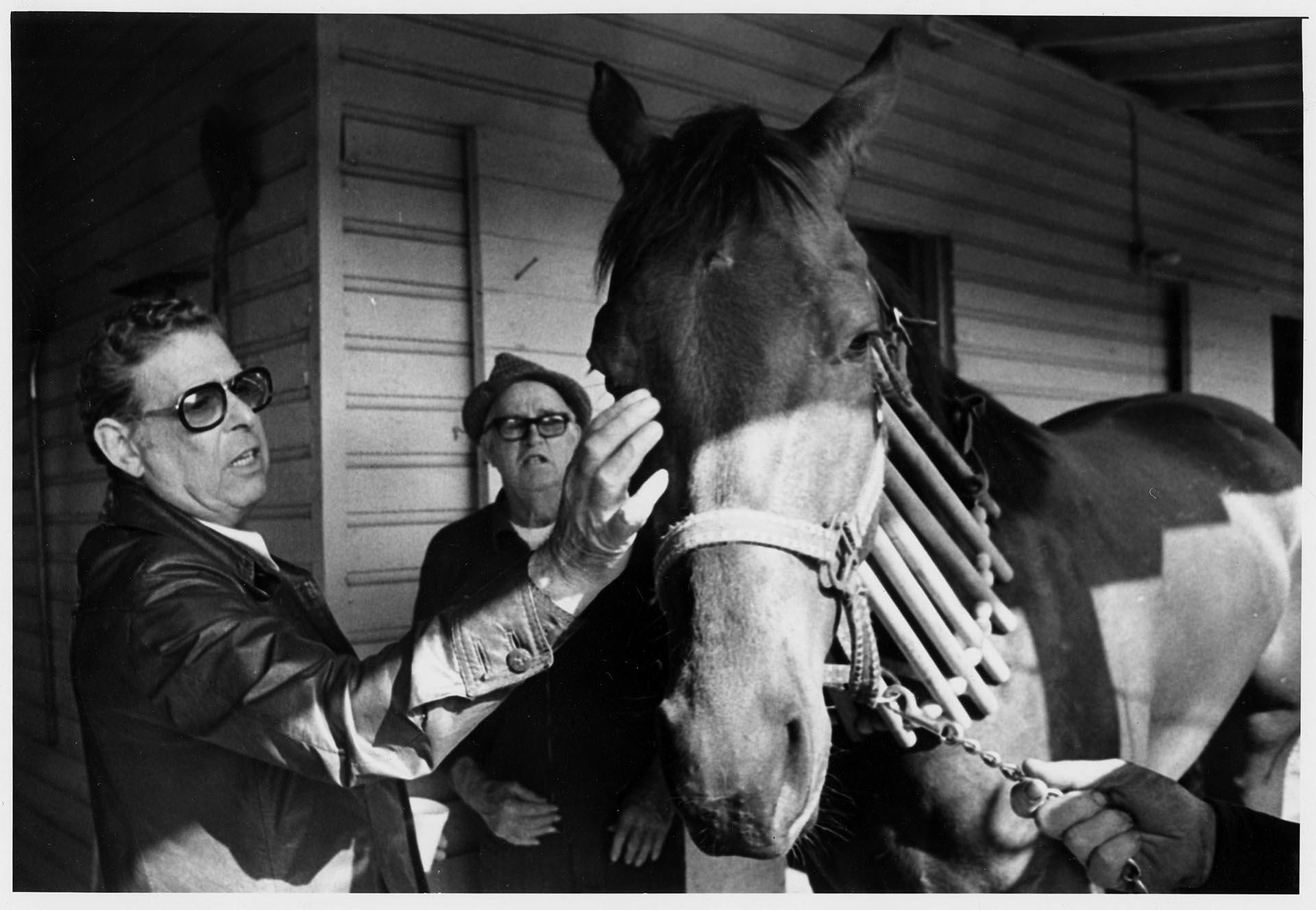Image of Morrie Alhadeff visiting a recovering horse, May 23, 1978