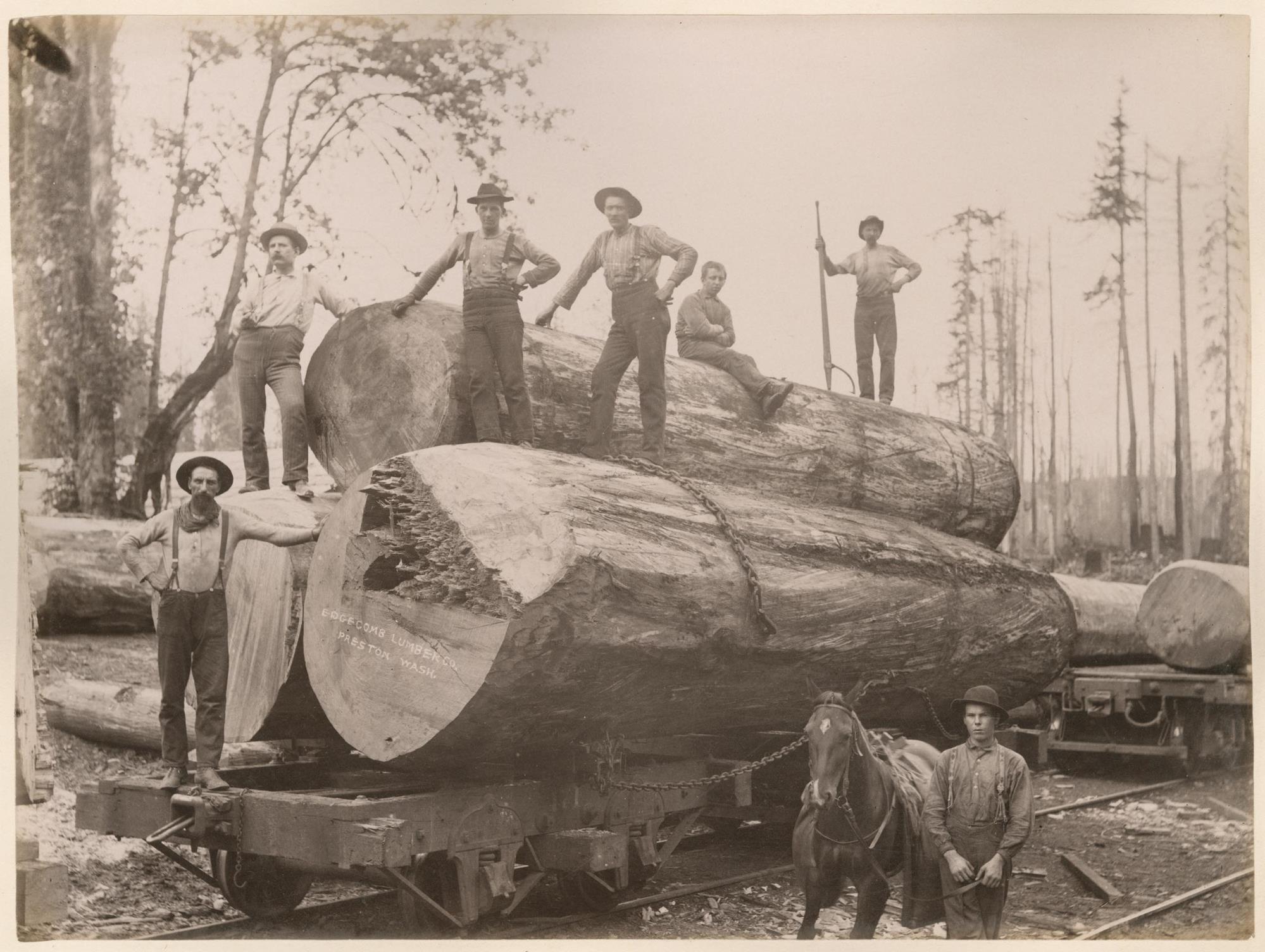 Image of Men with large logs on rail car, Edgecomb Lumber Company, Preston, Washington, circa 1890