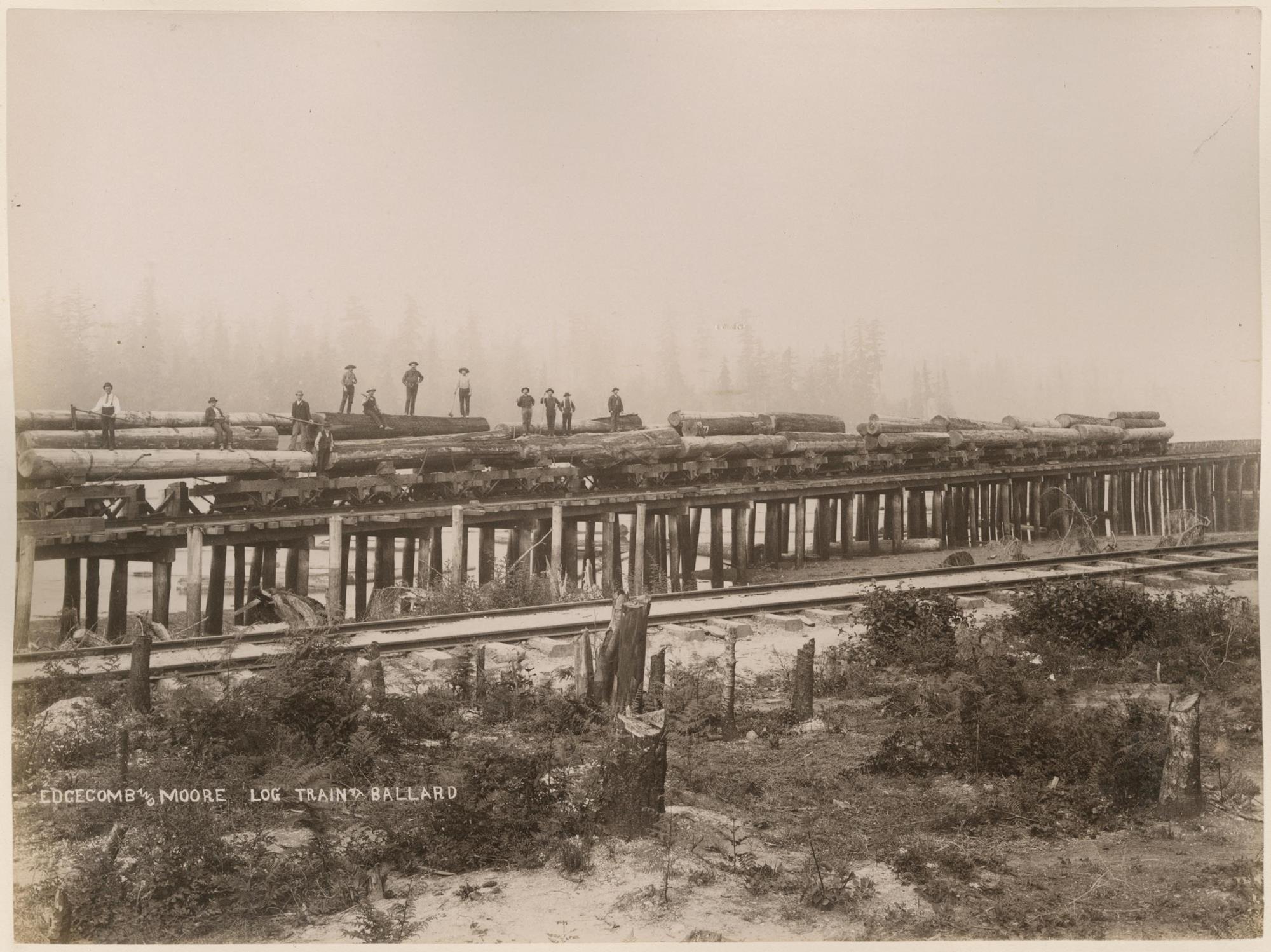 Image of Edgecomb and Moore log train at Ballard trestle, circa 1890