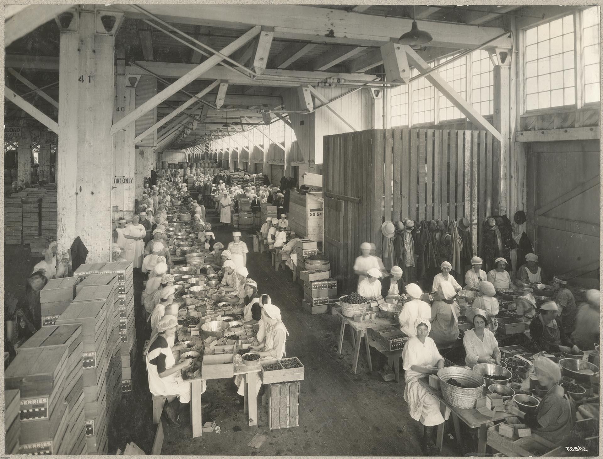 Image of Women cleaning strawberries at Spokane Street terminal, Seattle, circa 1921