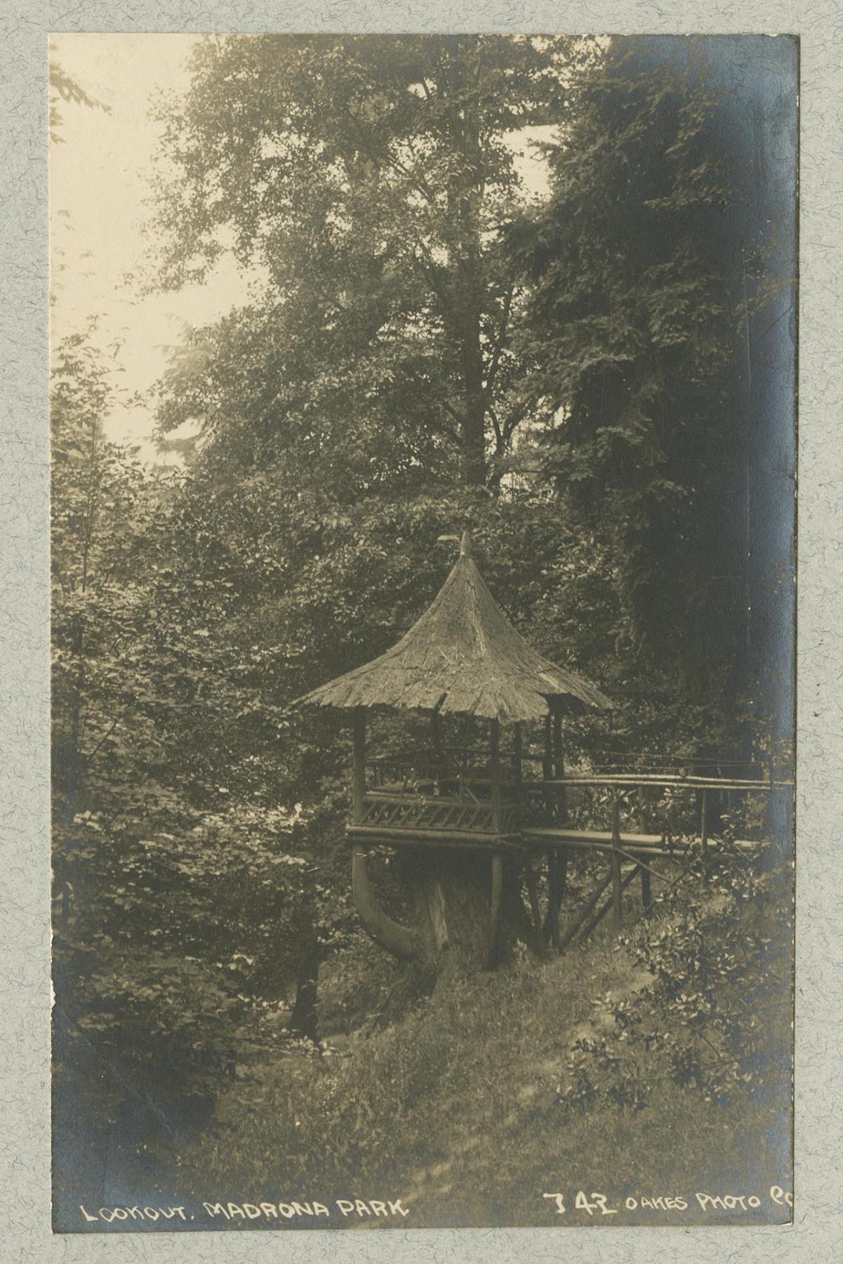 Image of Lookout at Madrona Park, Seattle, 1909