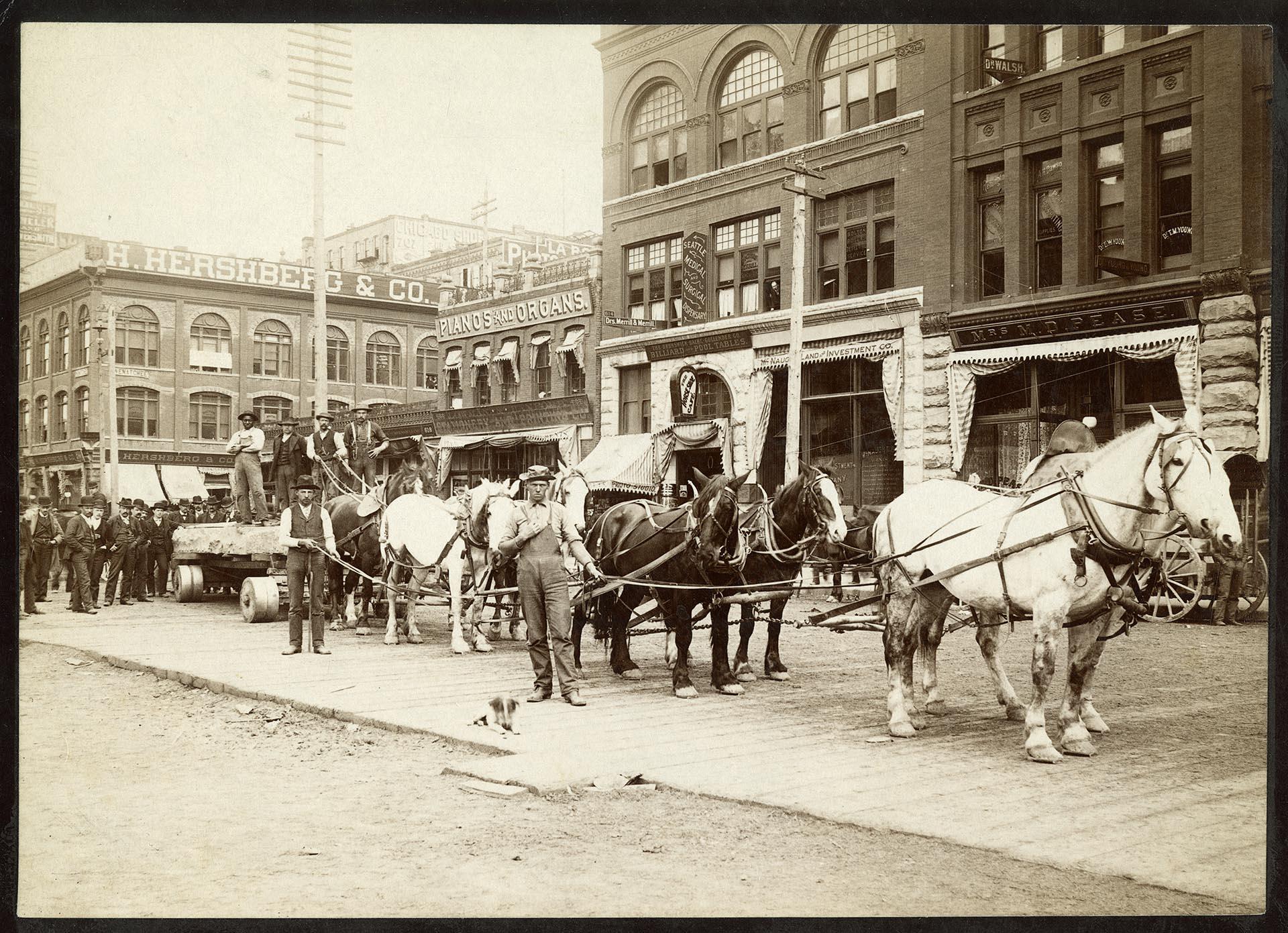 Image of Men with horse team on First Avenue, Seattle, circa 1890