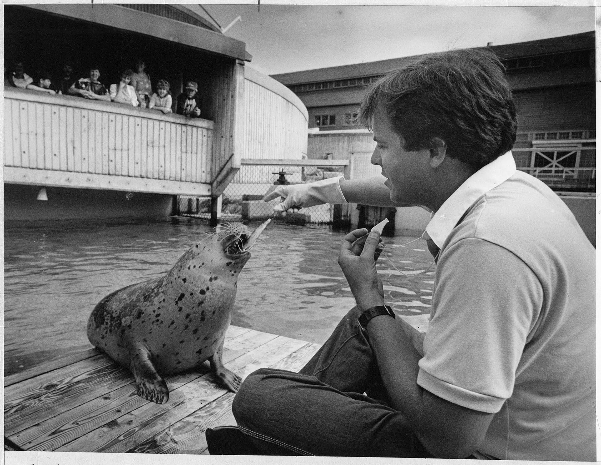 Image of Biologist with harbor seal at Seattle Aquarium, July 1985