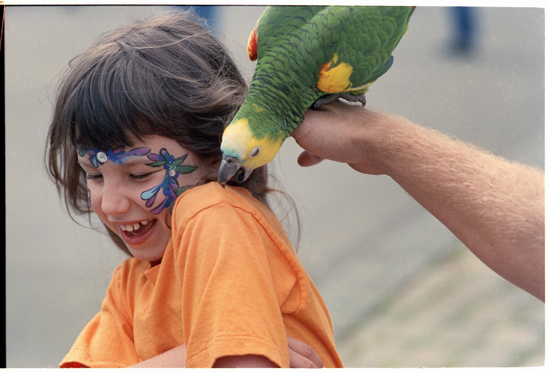Image of Child and parrot at Folklife Festival, Seattle Center, May 29, 1993