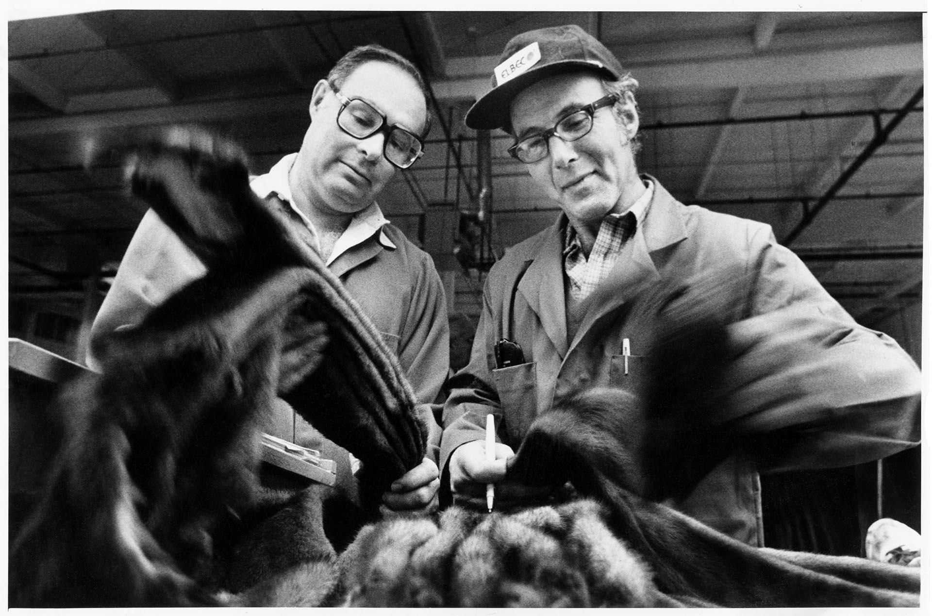 Image of Brokers inspecting pelts at the Seattle Fur Exchange, January 22, 1981