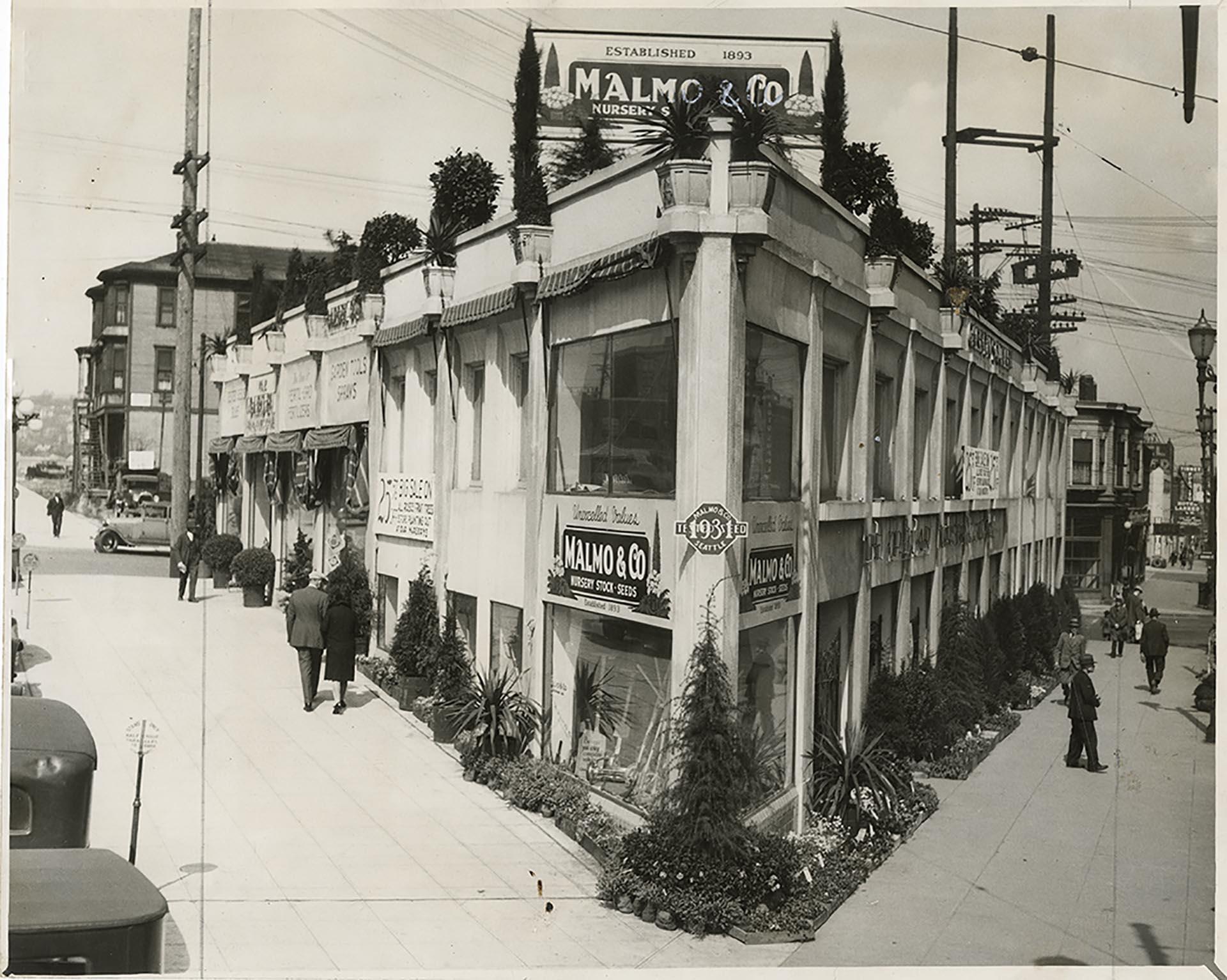 Image of Malmo Seed and Nursery Company, Seattle, circa 1931