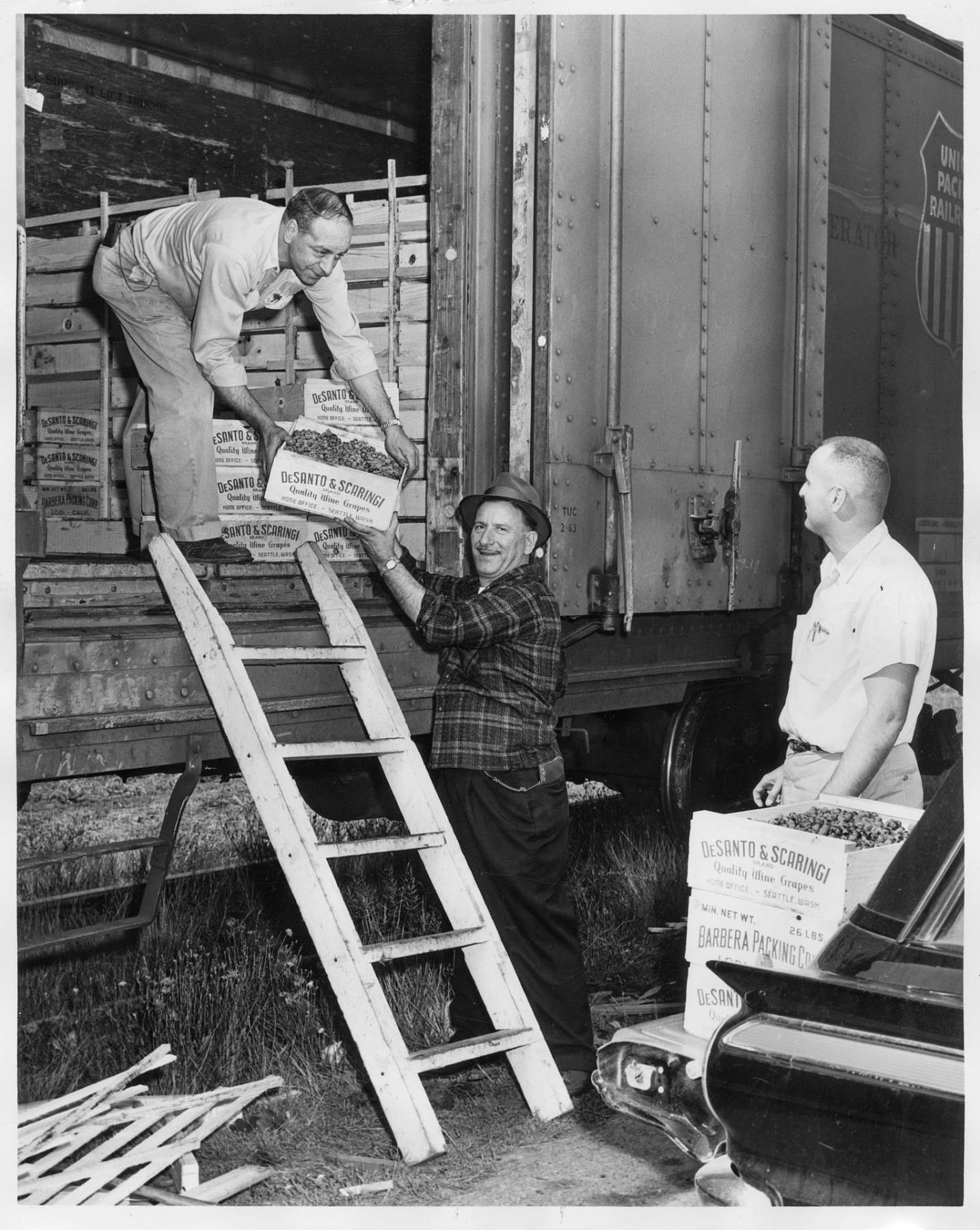 Image of Wine brokers unloading grapes from train, Seattle, September 25, 1963
