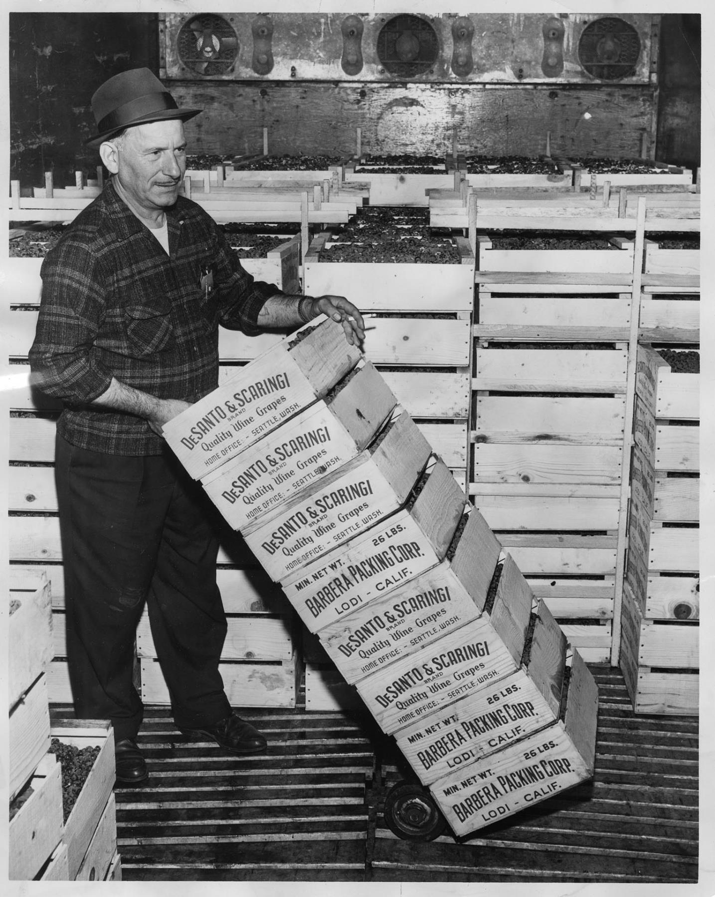 Image of Wine broker unloading grapes from train, Seattle, September 25, 1963