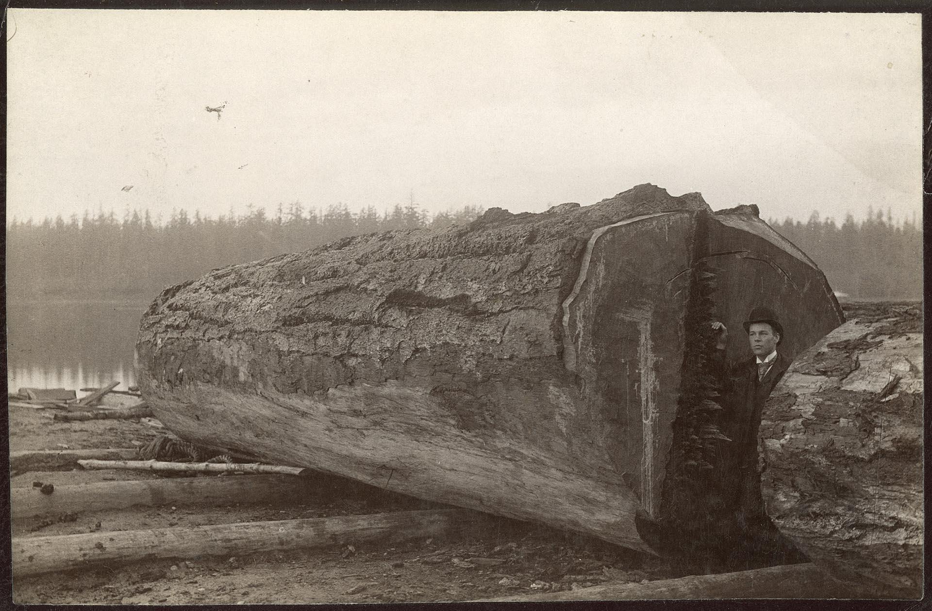 Image of Man with big log at Lake Union, Seattle, circa 1895