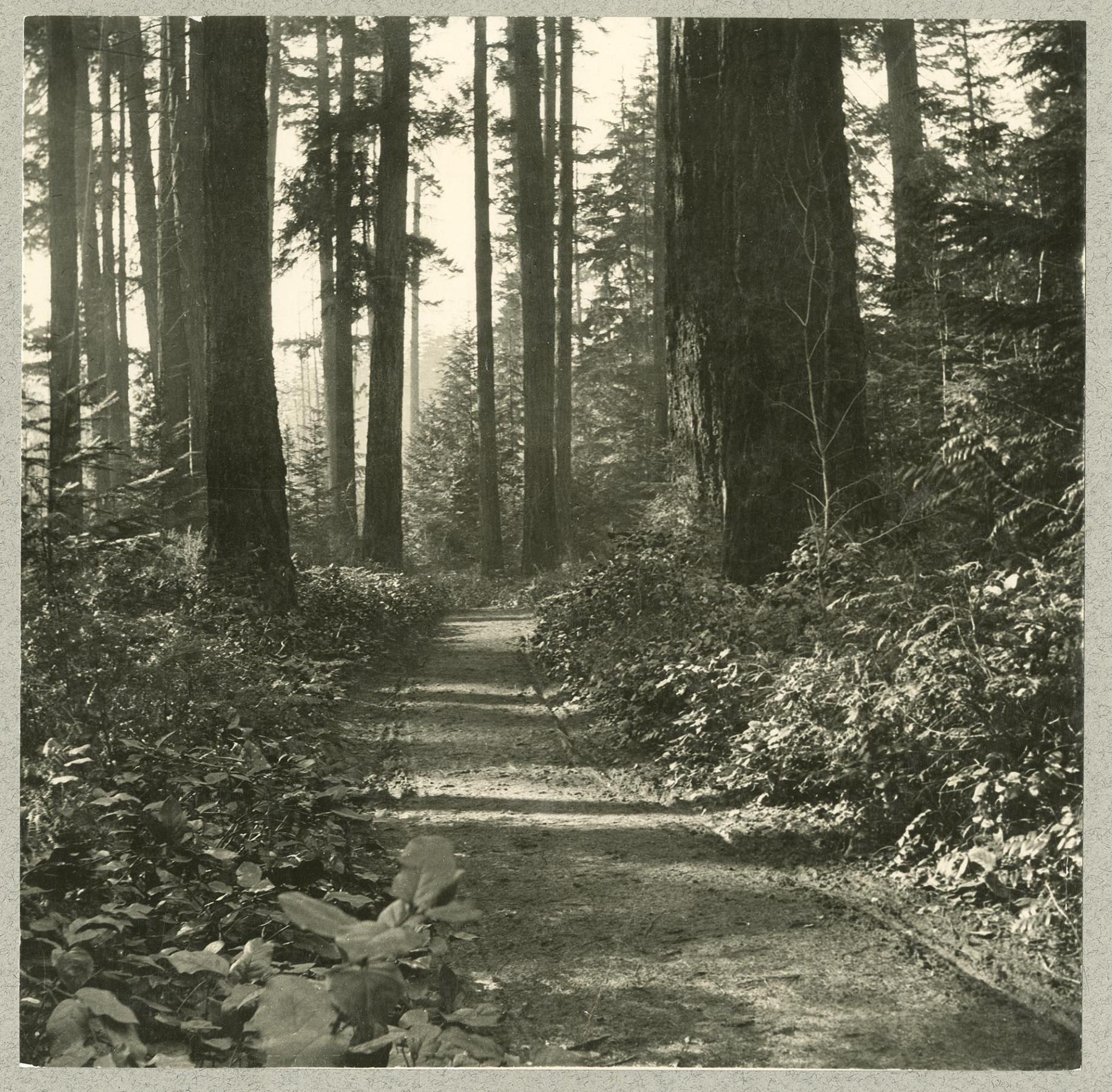 Image of Military road on Beacon Hill, Seattle, circa 1900