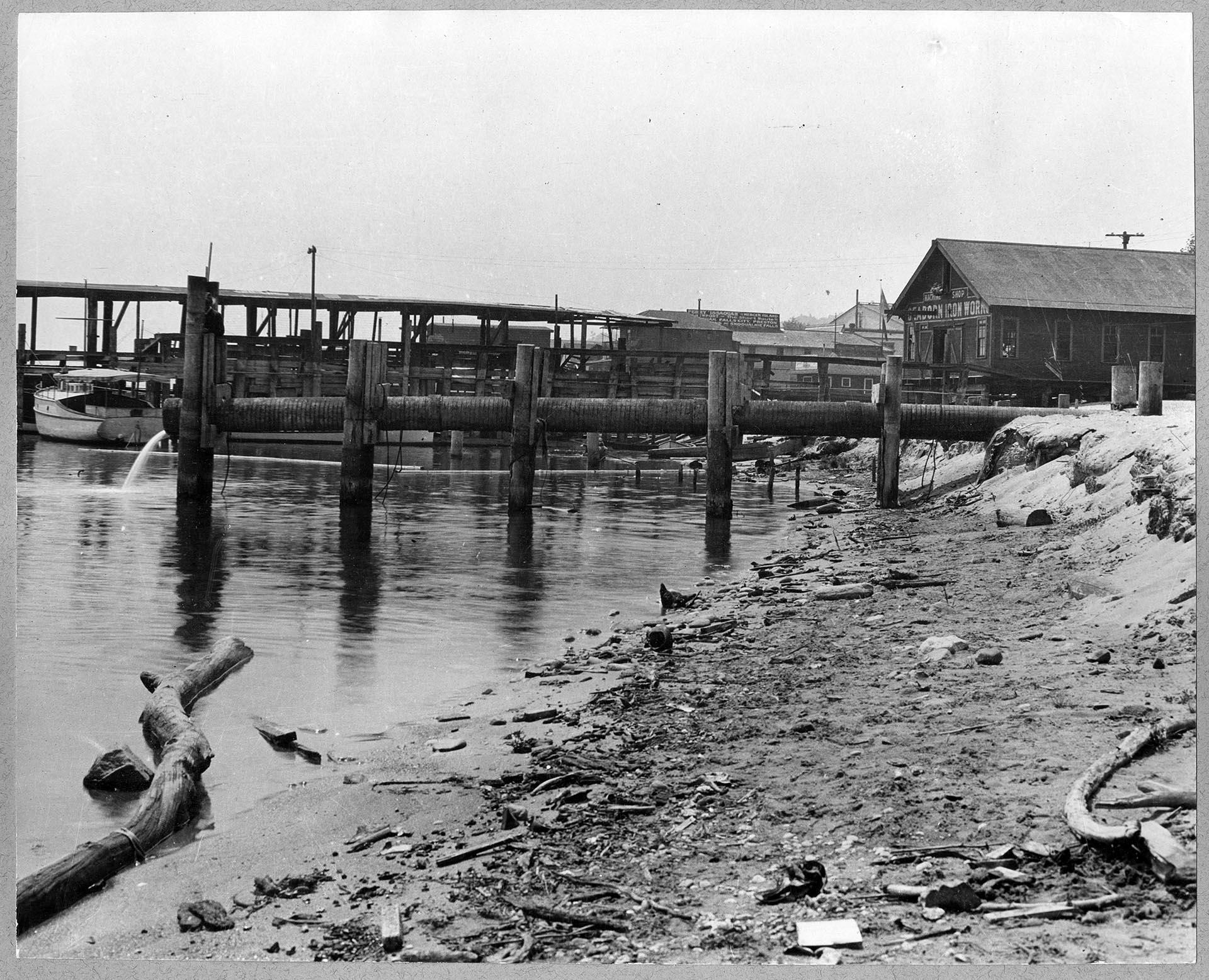 Image of Alder Street sewer outfall into Lake Washington, June 19, 1917