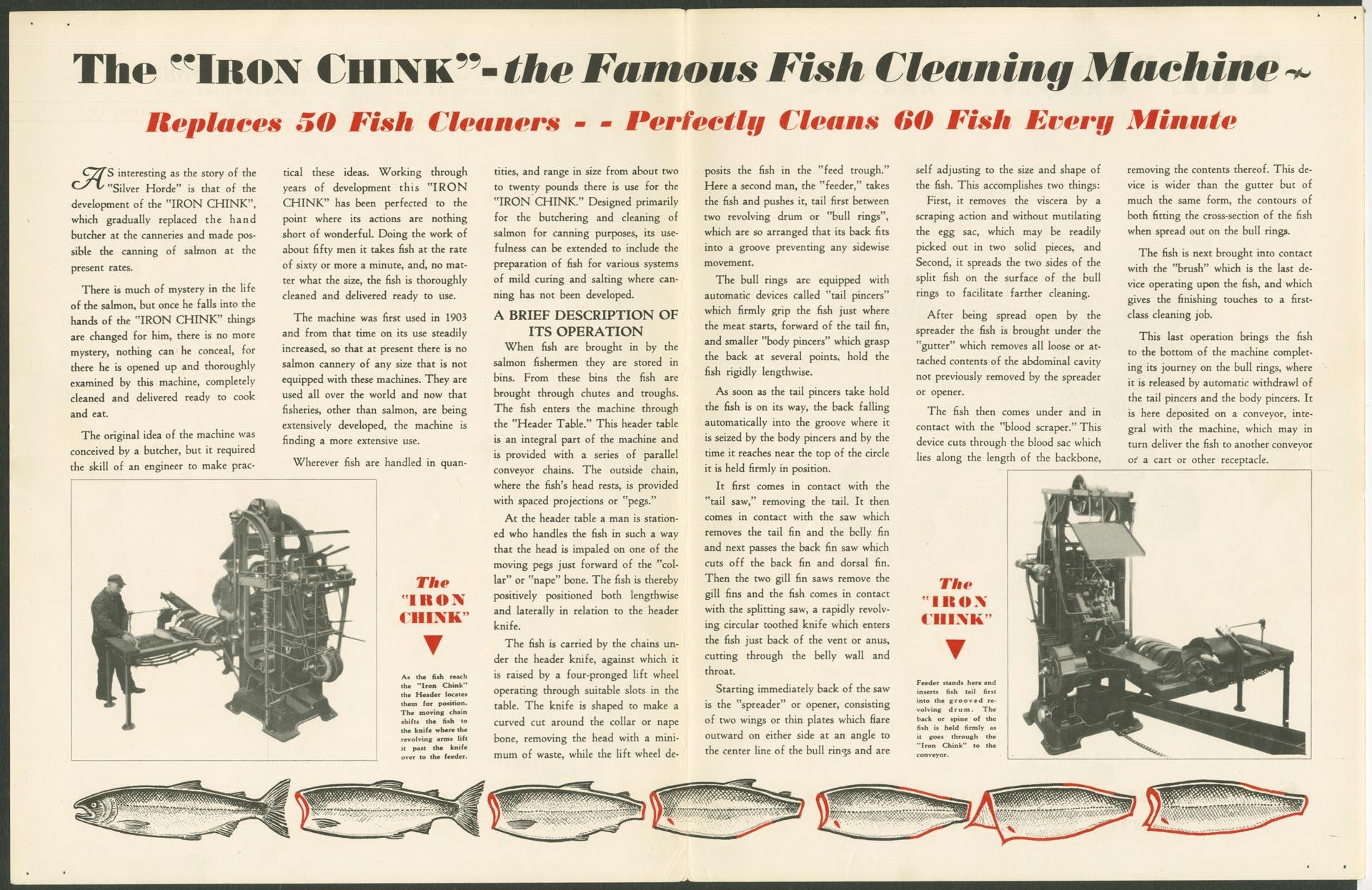 Image of Brochure for the 
