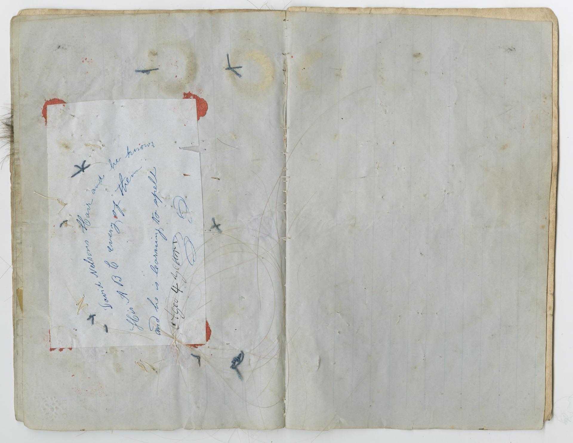 Image of Sarah Price's hair book, March 1853