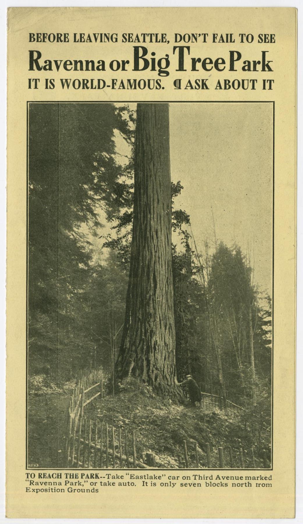 Image of Don't Fail to See Ravenna (or Big Tree Park), 1909
