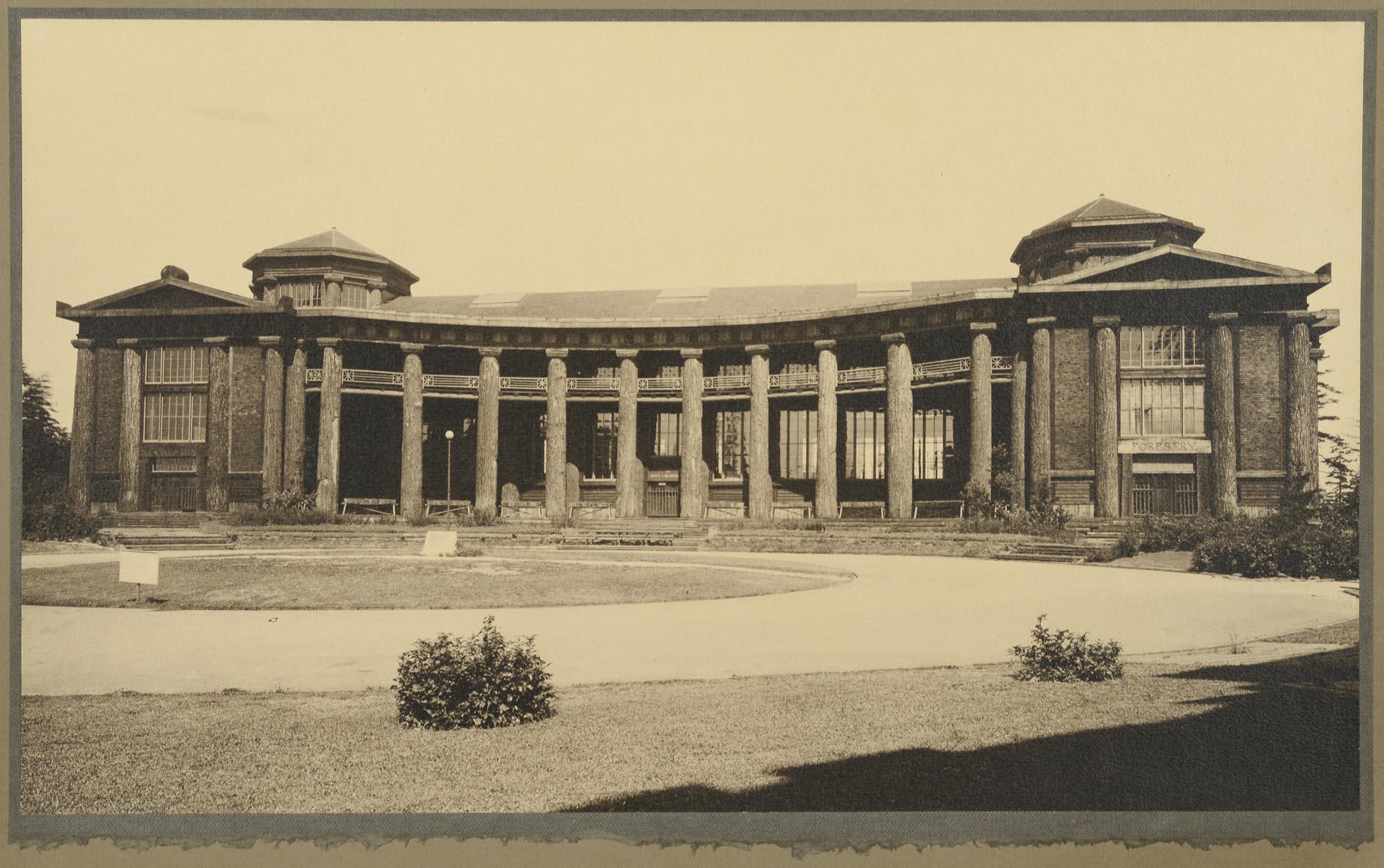 Image of Exterior of Forestry Building at AYPE, Seattle, 1909