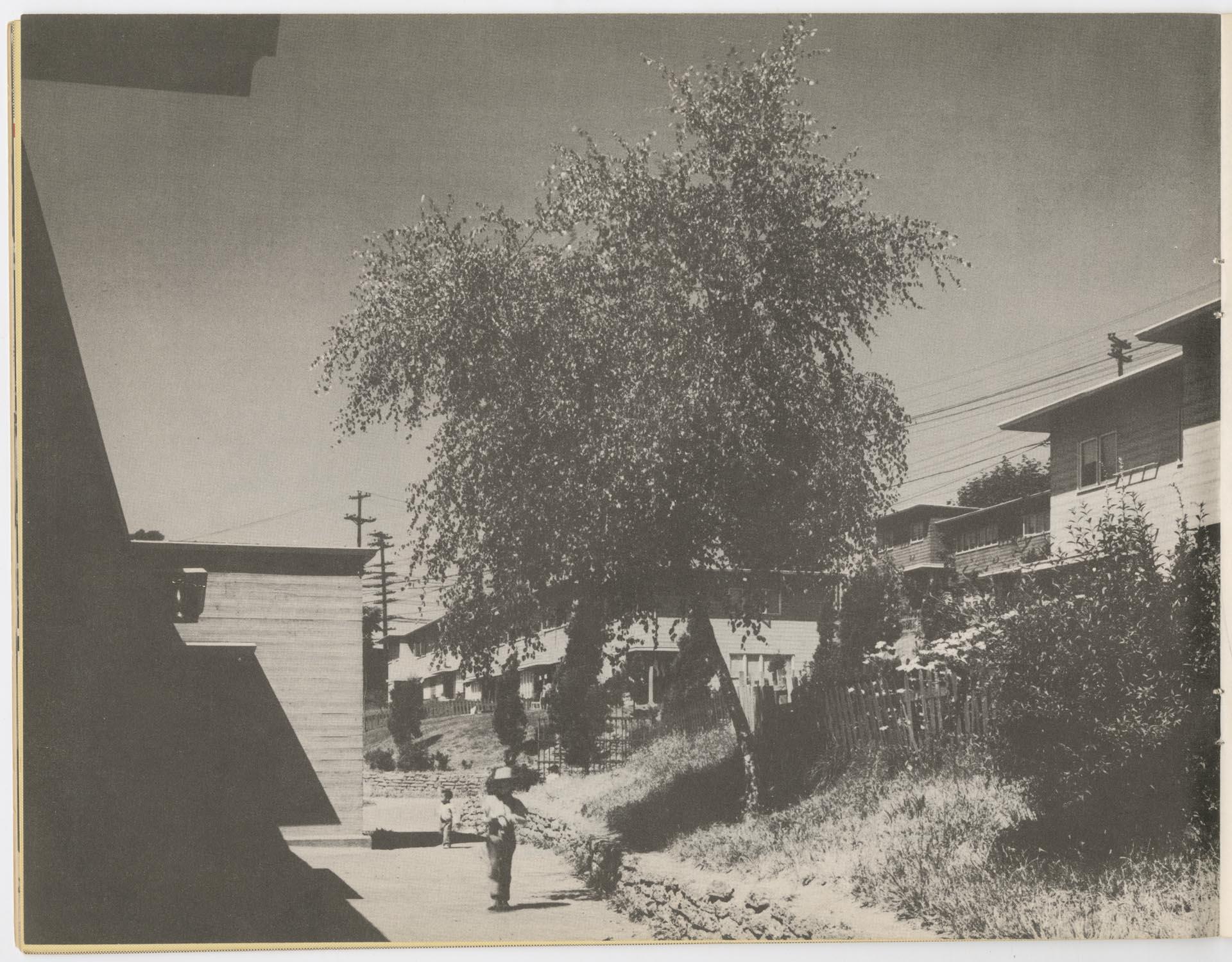 Image of This is Public Housing 10th Anniversary Report, 1949