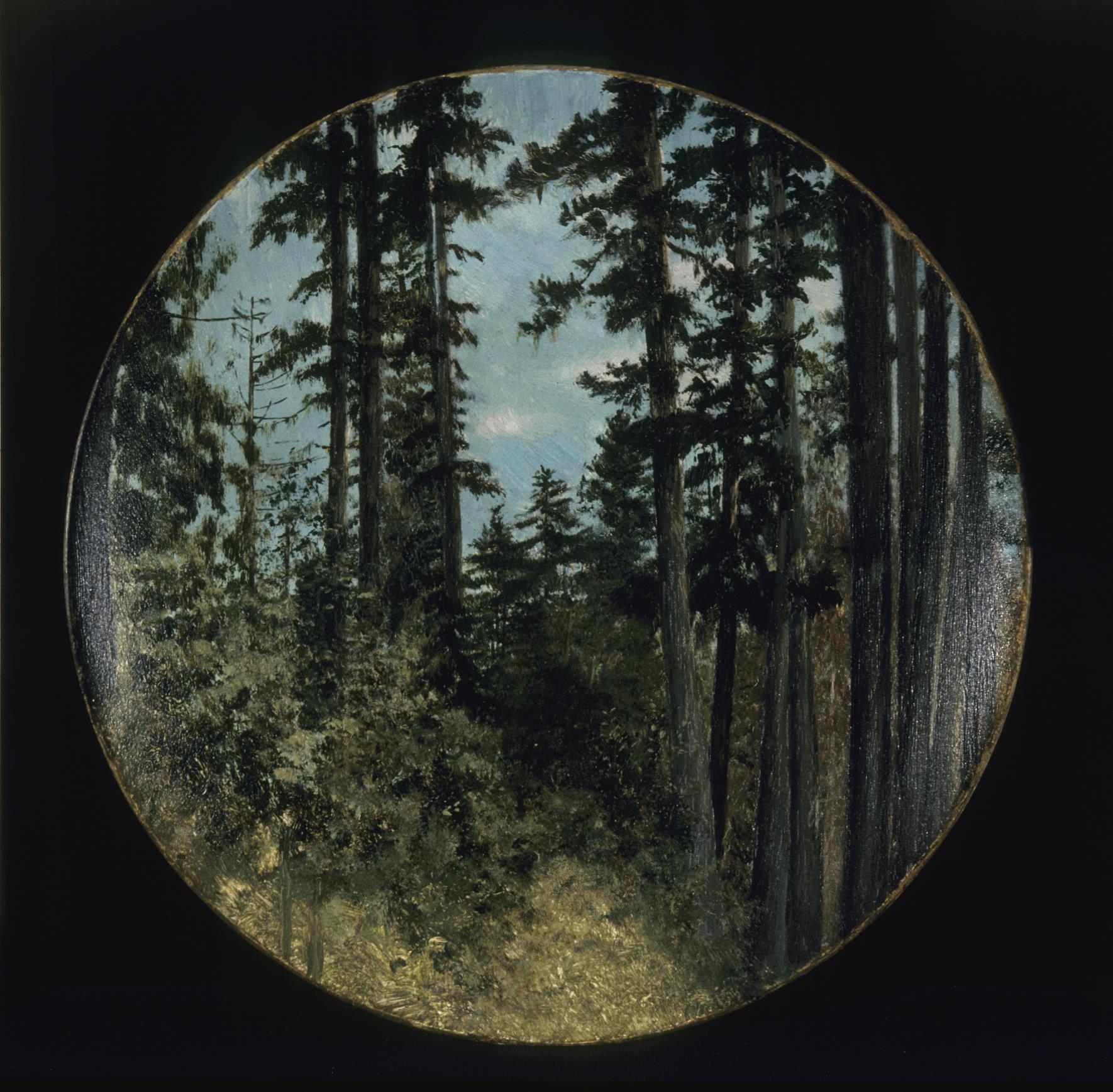 Image of Painting of a forest scene on concave surface, ca. 1909
