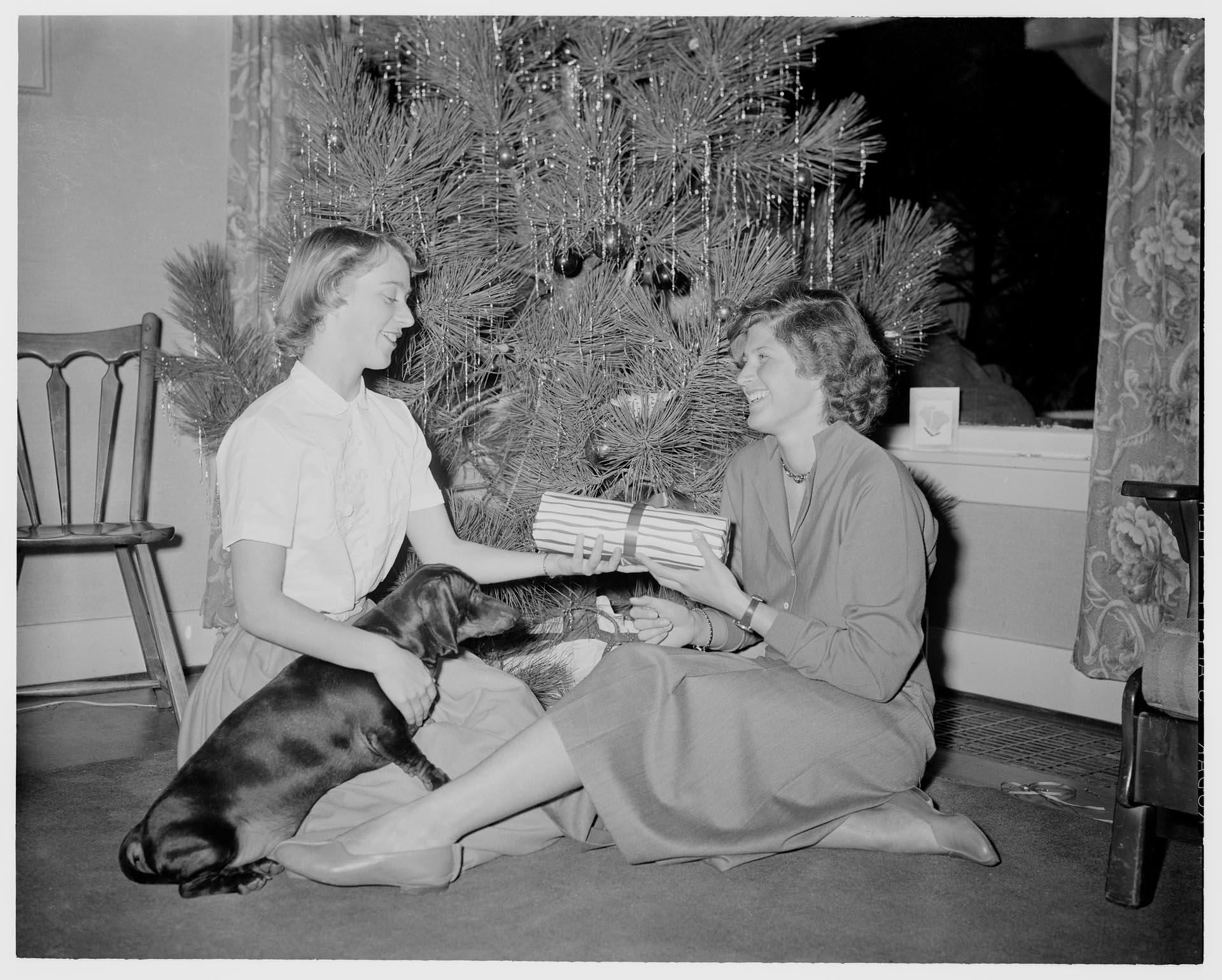Image of Nancy Ramey and Suzie Ordogh exchanging Christmas gifts, December 1956