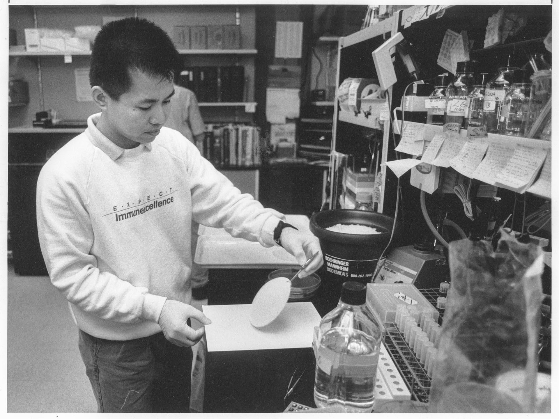 Image of Noel Balantac working in lab at Immunex, Seattle, December 12, 1989