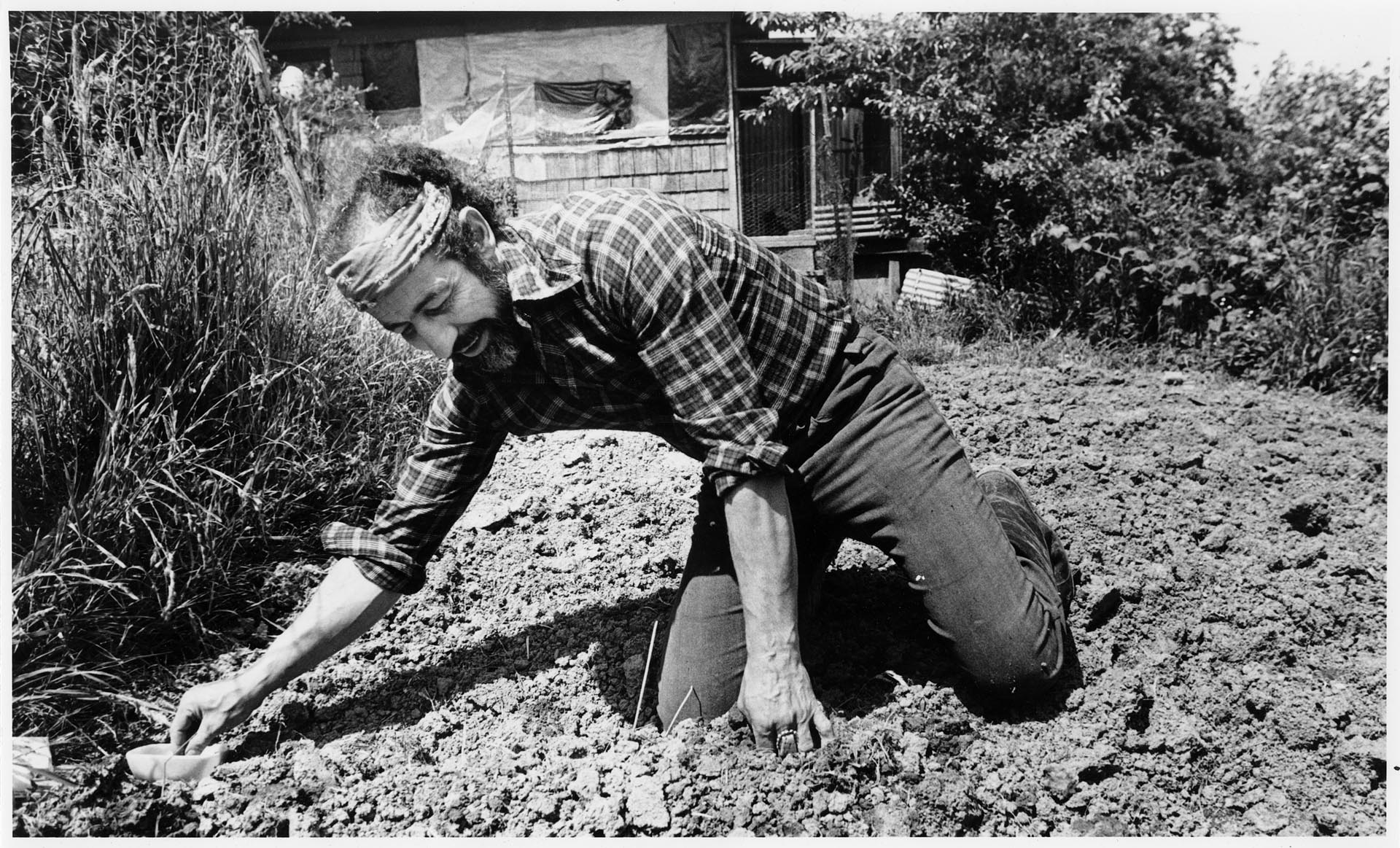Image of Roberto Maestas working in garden at his home, Seattle, July 22, 1984