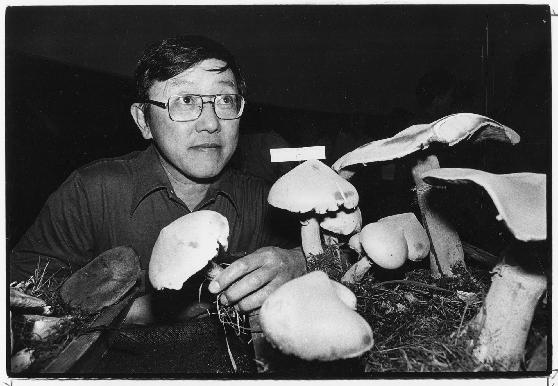 Image of Ben Woo with mushroom display at Pacific Science Center, Seattle, October 14, 1978