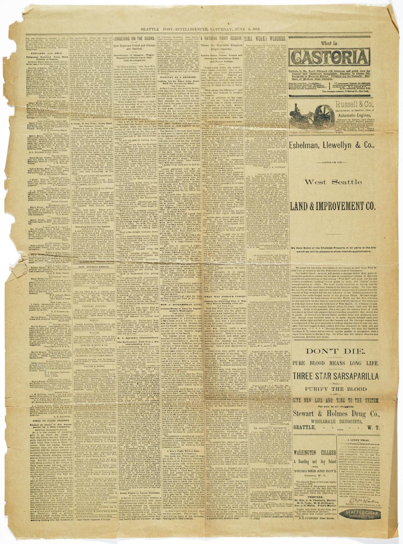 Image of The Seattle Post-Intelligencer, June 8, 1889