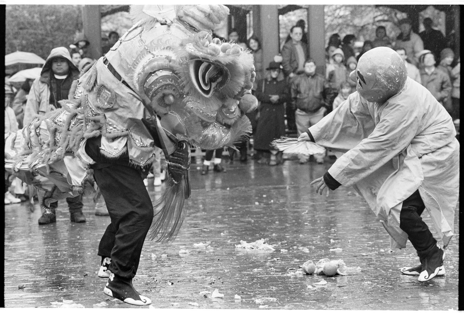 Image of Lion Dance performance at Lunar New Year celebration, Seattle, January 25, 1993