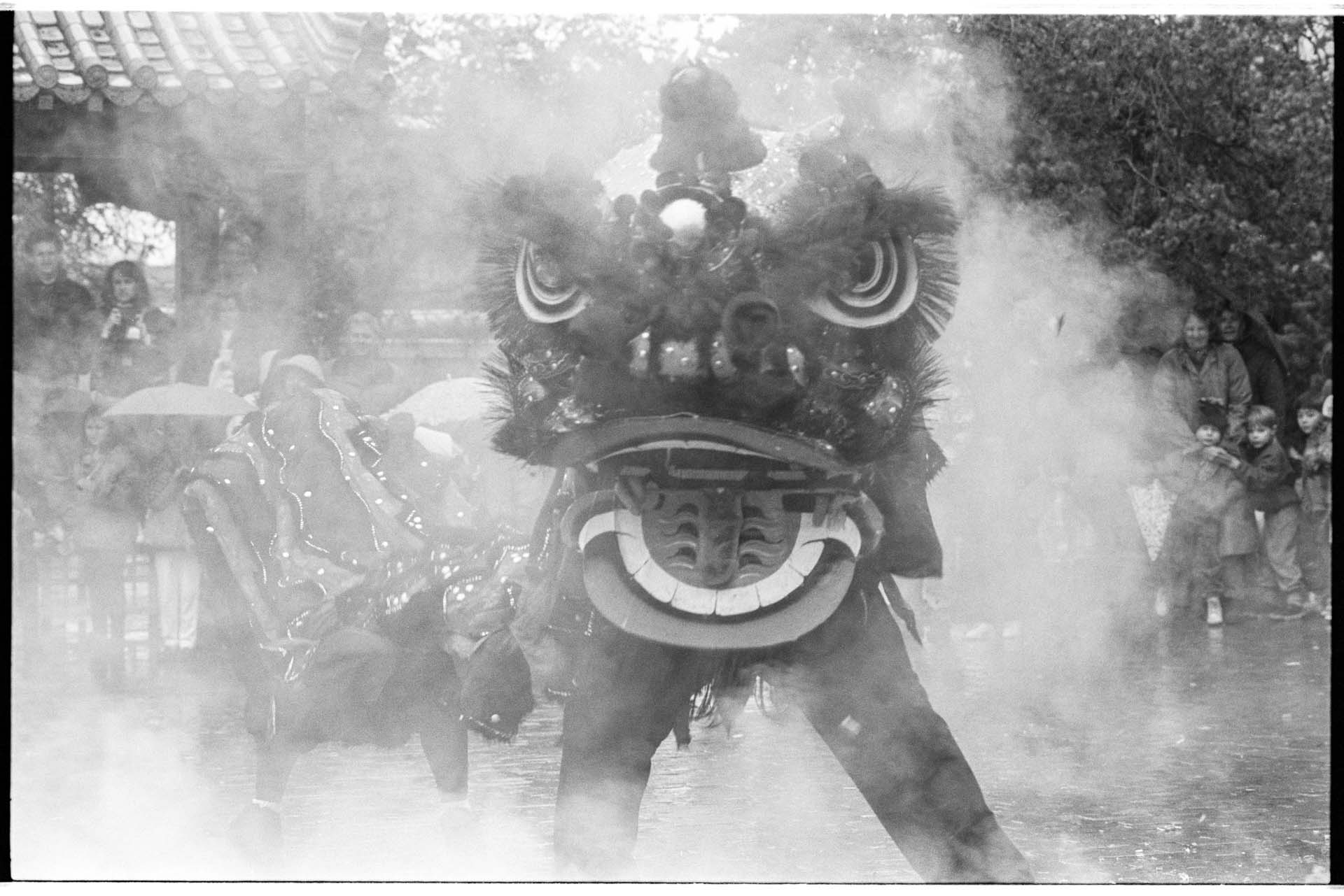 Image of Lion Dance performance at Lunar New Year celebration, Seattle, January 25, 1993
