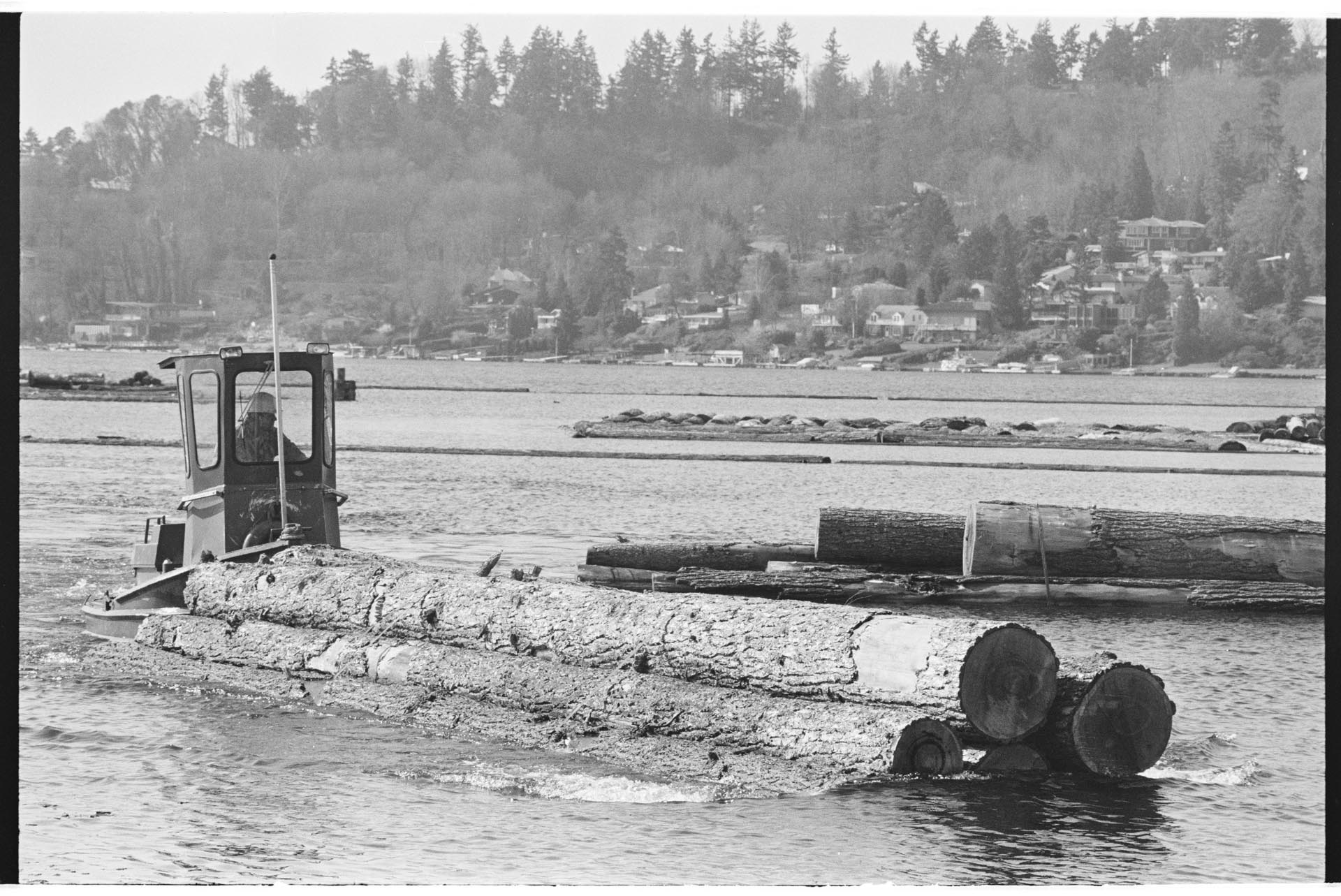 Image of Employee working in Barbee Mill Co. log pond, Renton, March 9, 1993