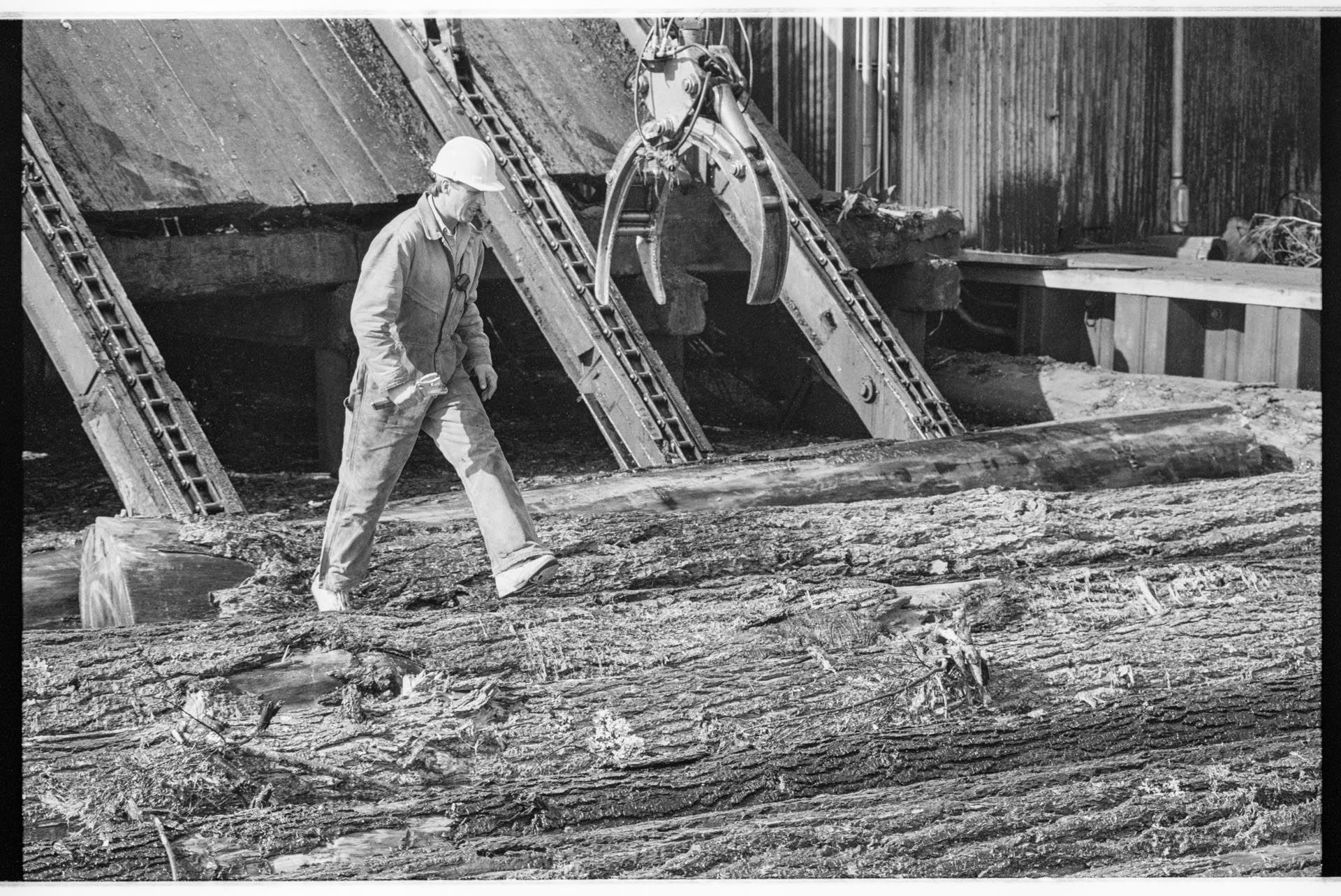 Image of Employee at Barbee Mill Co., Renton, March 9, 1993