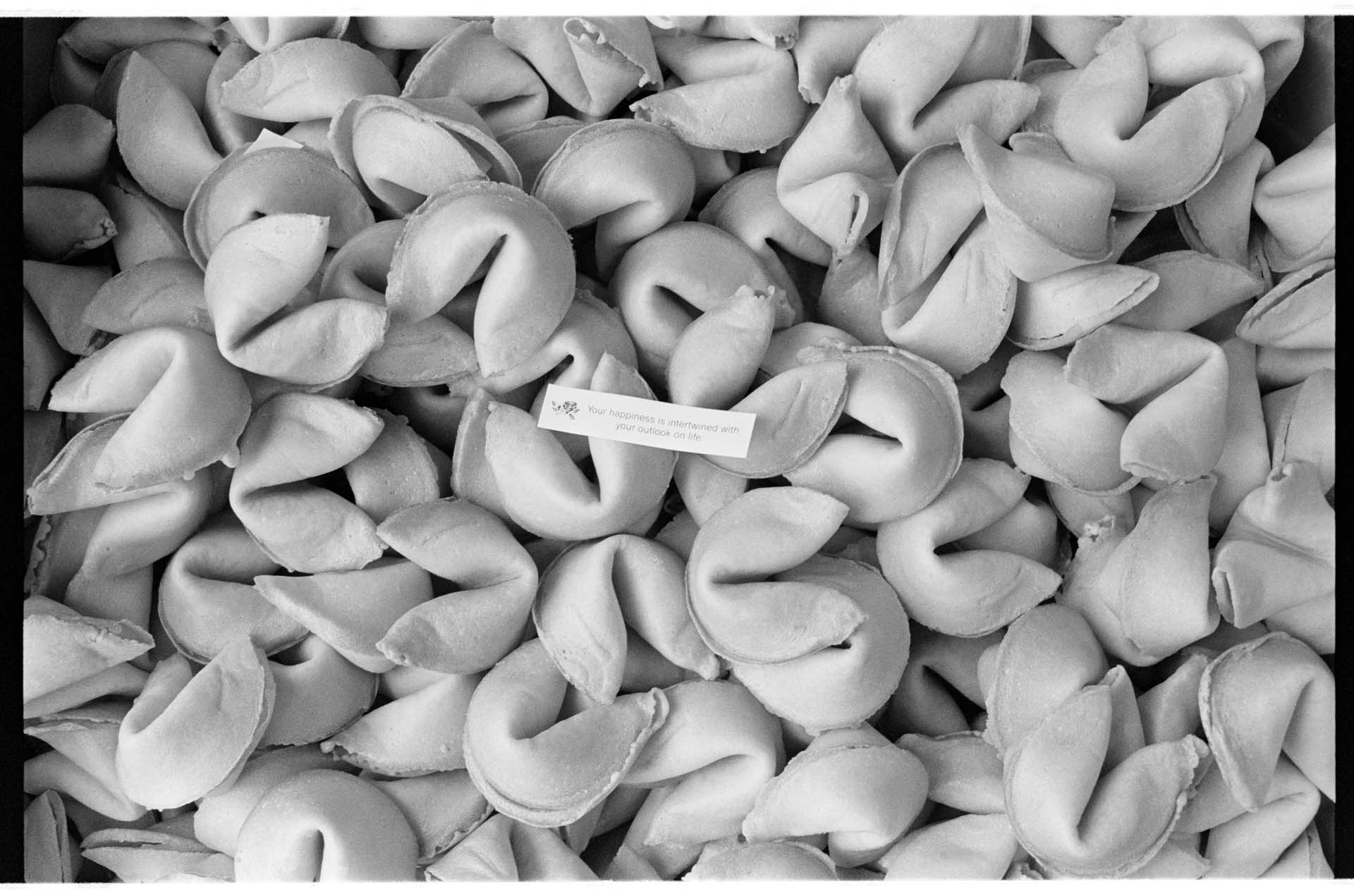 Image of Fortune cookies at Tsue Chong Co., Seattle, July 16, 1993