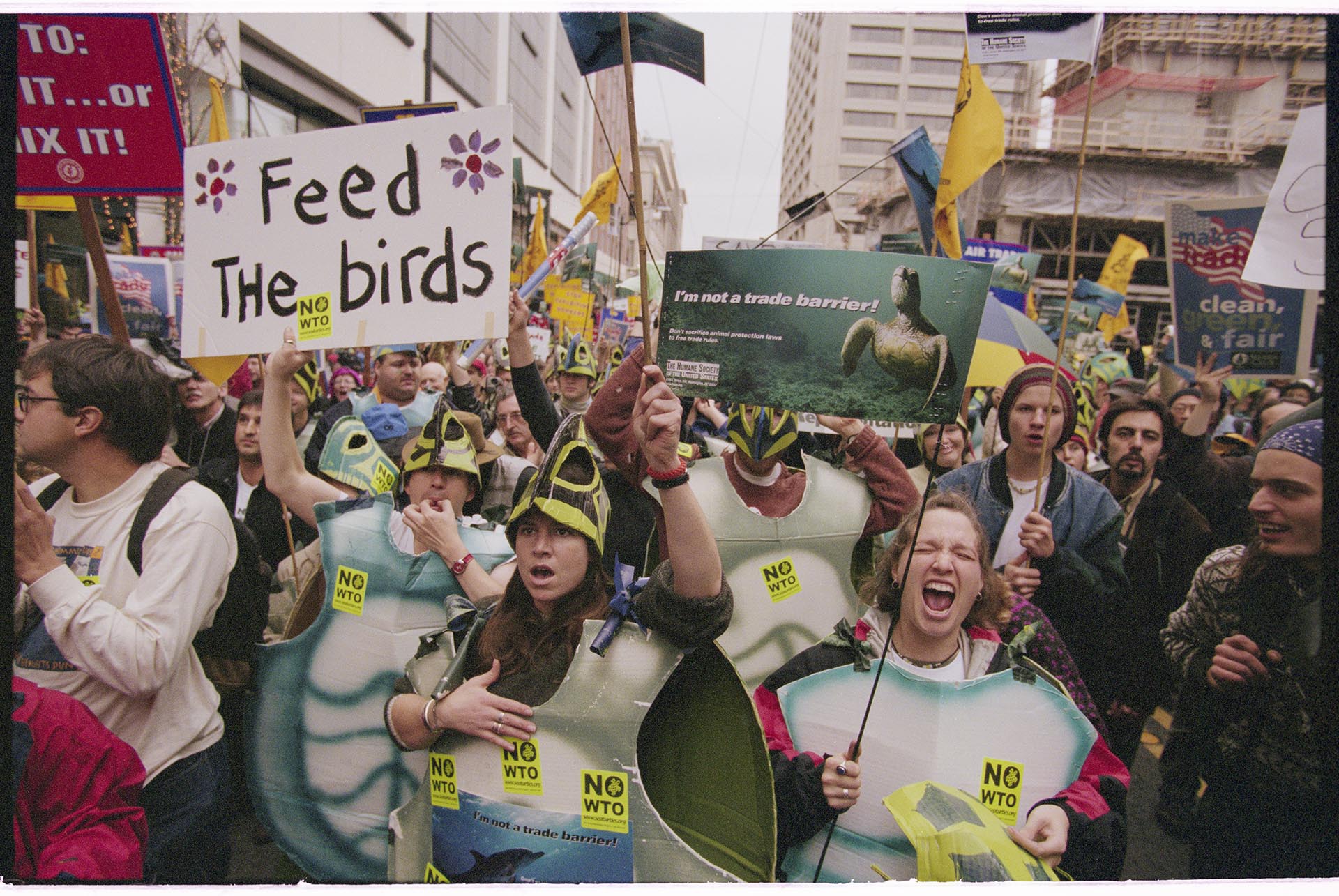Image of Demonstrators in turtle costumes at WTO protest, Seattle, November 29, 1999