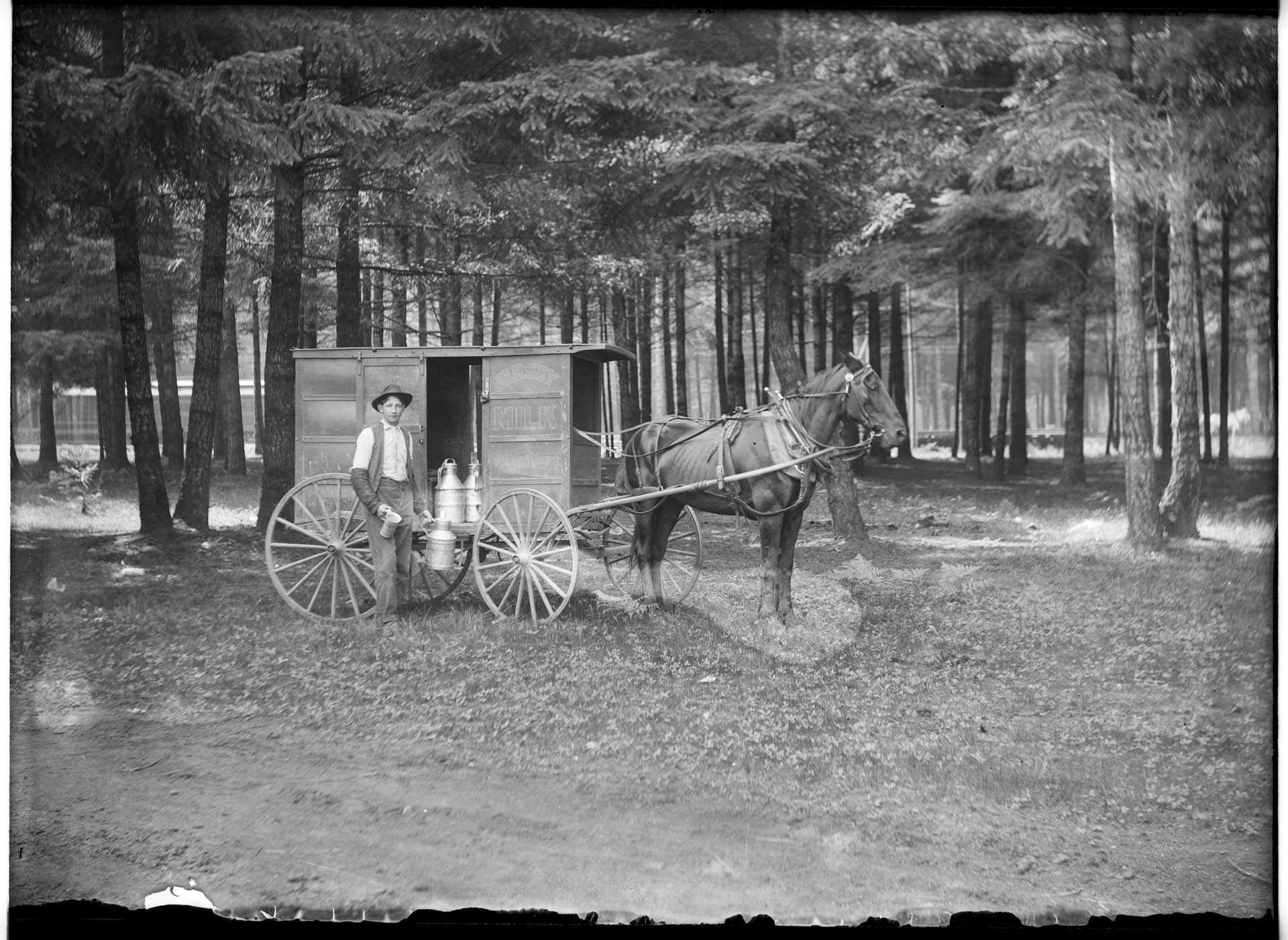 Image of Milkman and wagon at Manitou Park, Tacoma, 1908