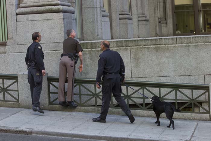 Image of Bomb squad with dog at King County Courthouse, Seattle, September 11, 2001