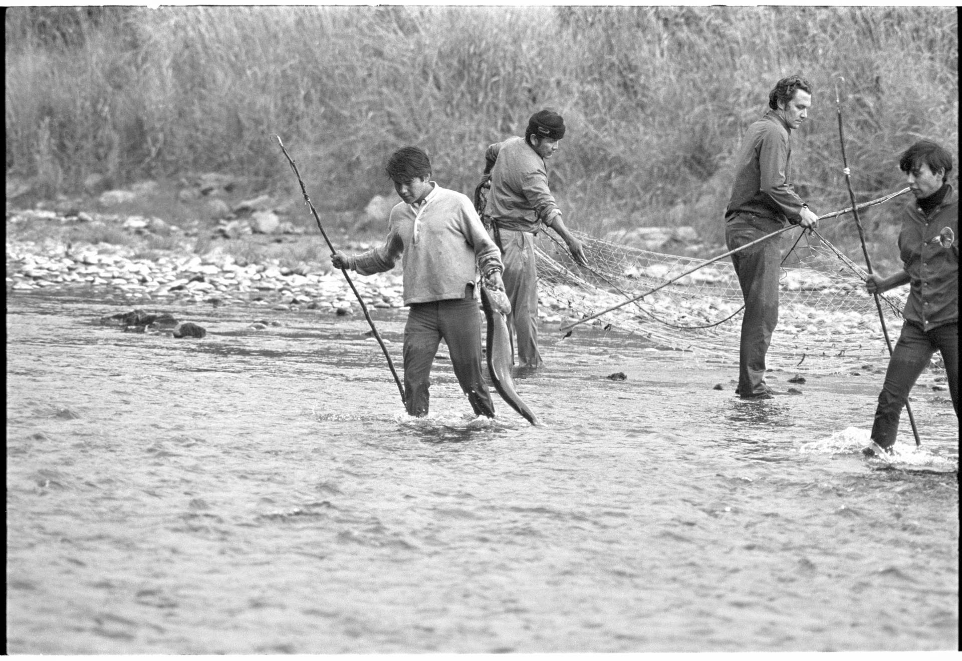 Image of Muckleshoot Tribe members practicing their fishing rights in Green River, Auburn, October 4, 1970