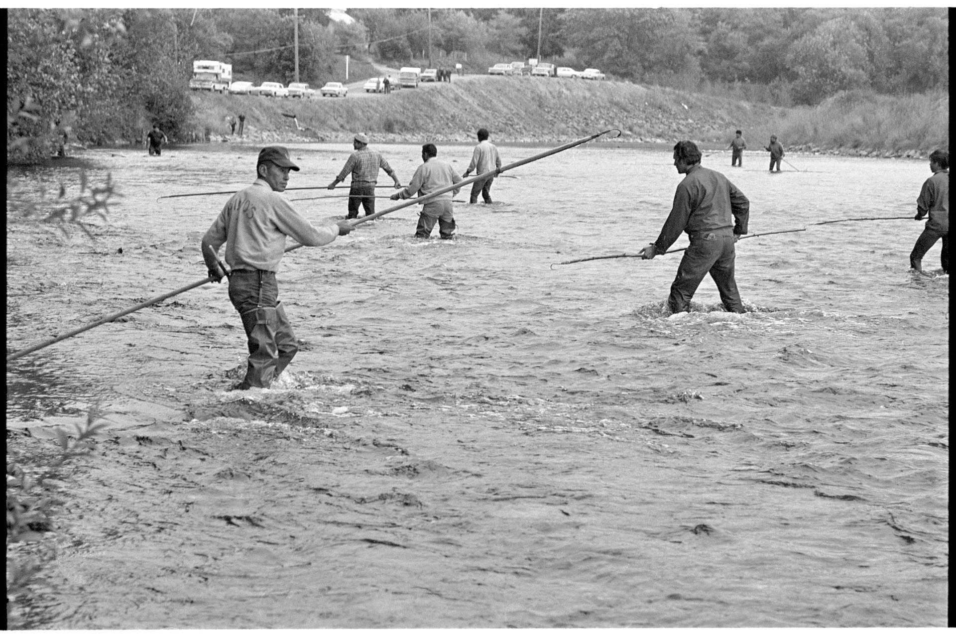 Image of Muckleshoot Tribe members practicing treaty fishing rights in Green River, Auburn, October 4, 1970