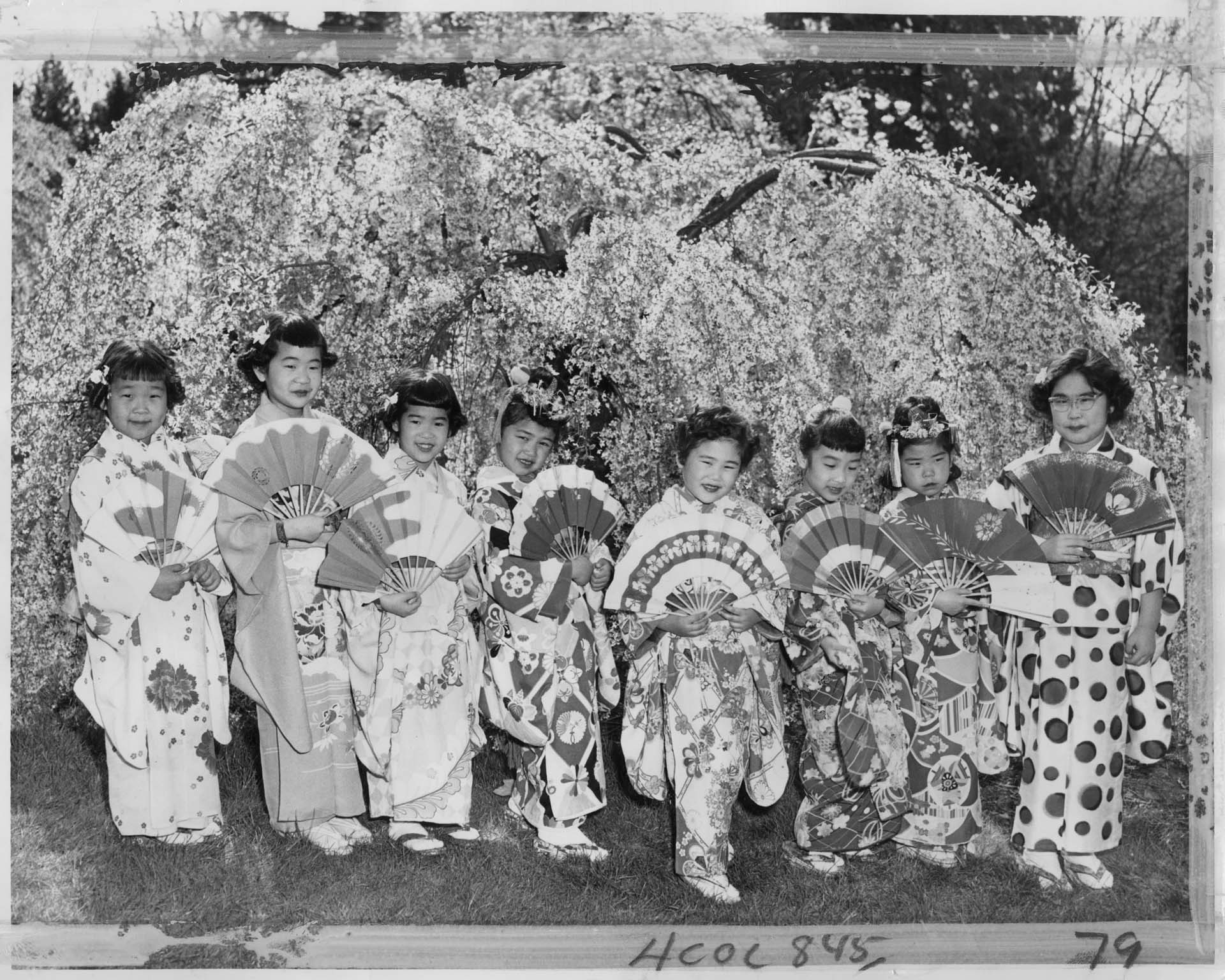 Image of Dancers posing at Cherry Blossom Festival at UW Arboretum, Seattle, April 12, 1959