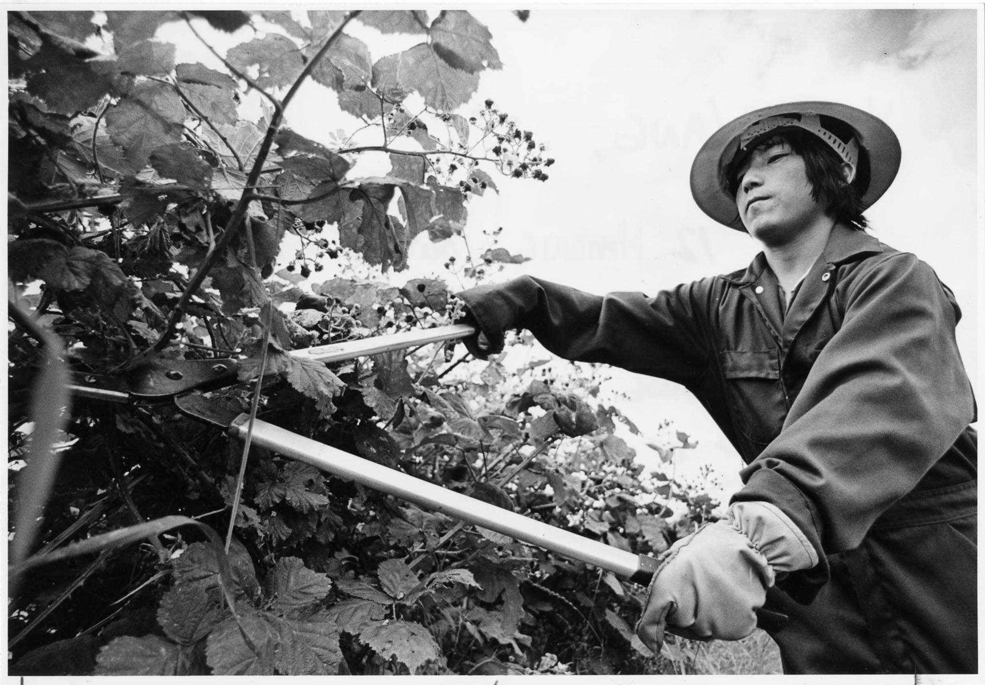 Image of Xow Yang at work in Discovery Park, Seattle, 1982