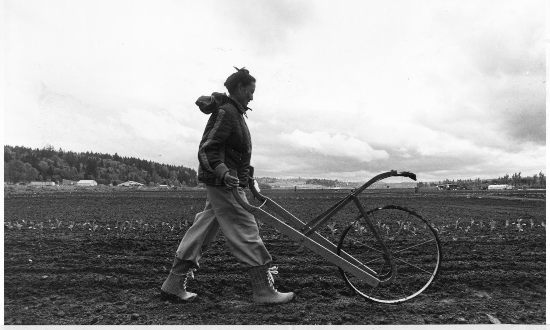 Image of Shoua Chang working on her farm near Woodinville, 1984