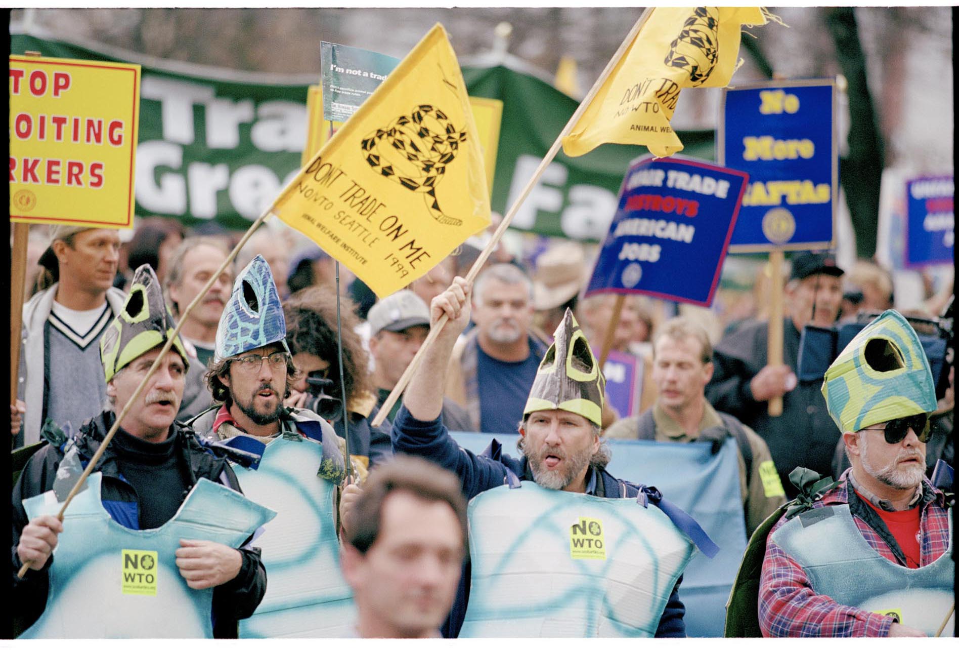 Image of Demonstrators in turtle costumes at WTO protest, Seattle, November 29, 1999