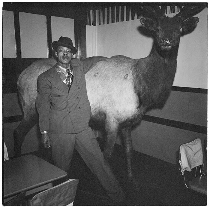Image of Man standing with stuffed elk at Black Elks Club, Seattle, circa 1944