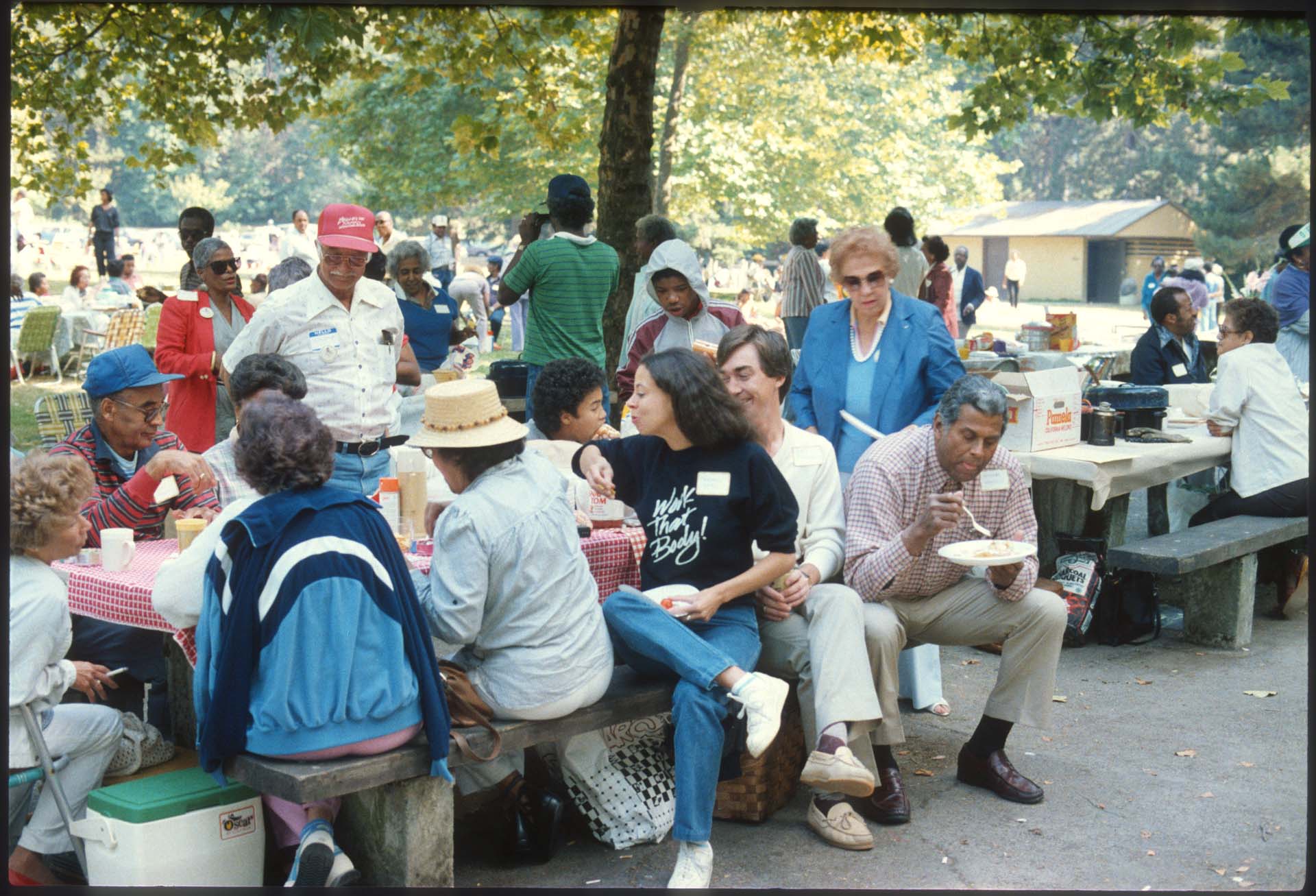 Image of Group at ROOTS family picnic, Seattle, 1984