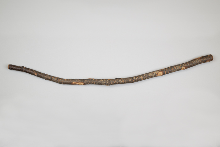 Image of Handmade cane from the first flight around the world, 1924