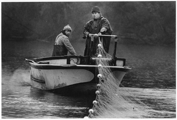 Image of Julian Lawrence and Louis Horn, Jr. netting salmon on Nooksack River, October 1991